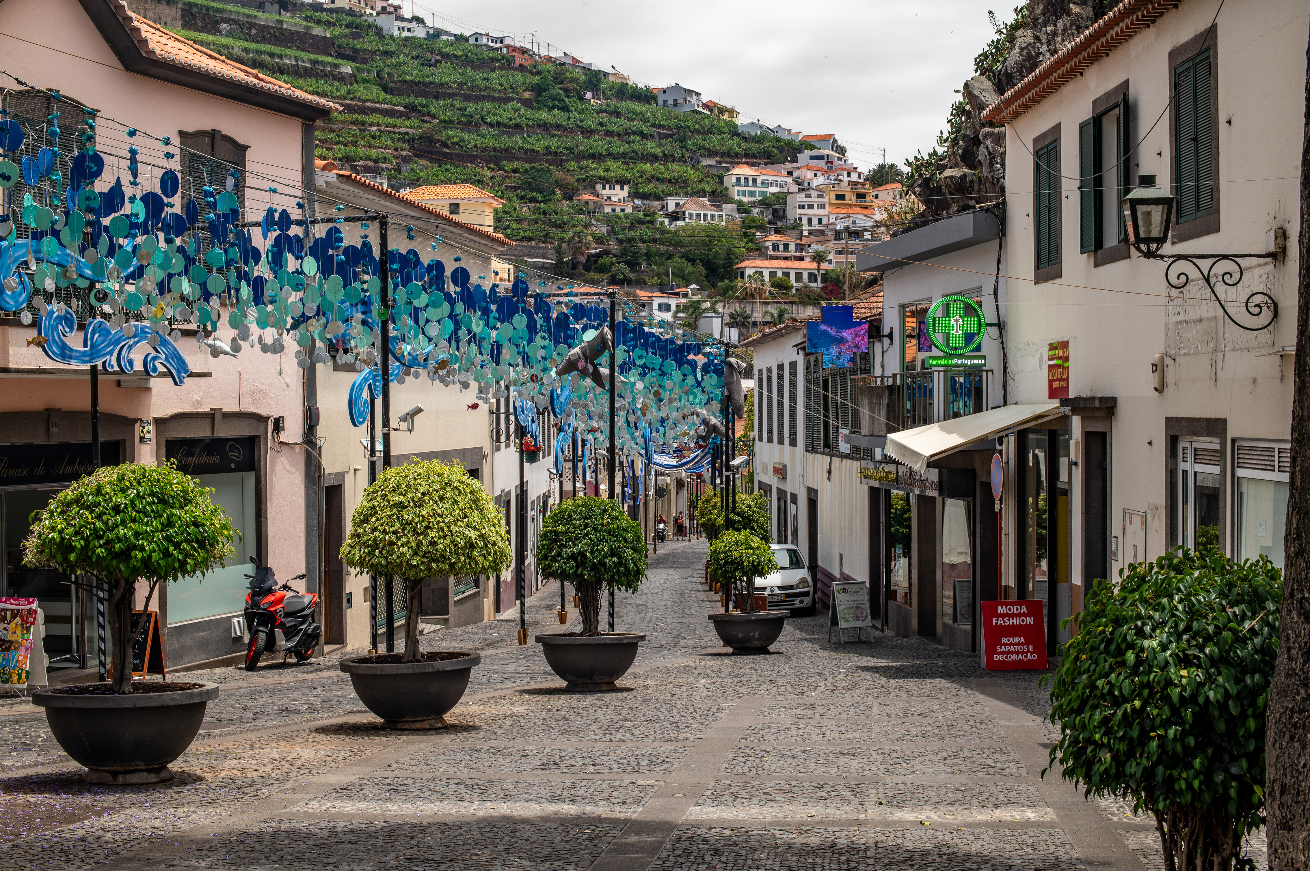 cobblestone streets and potted trees lining the walkway