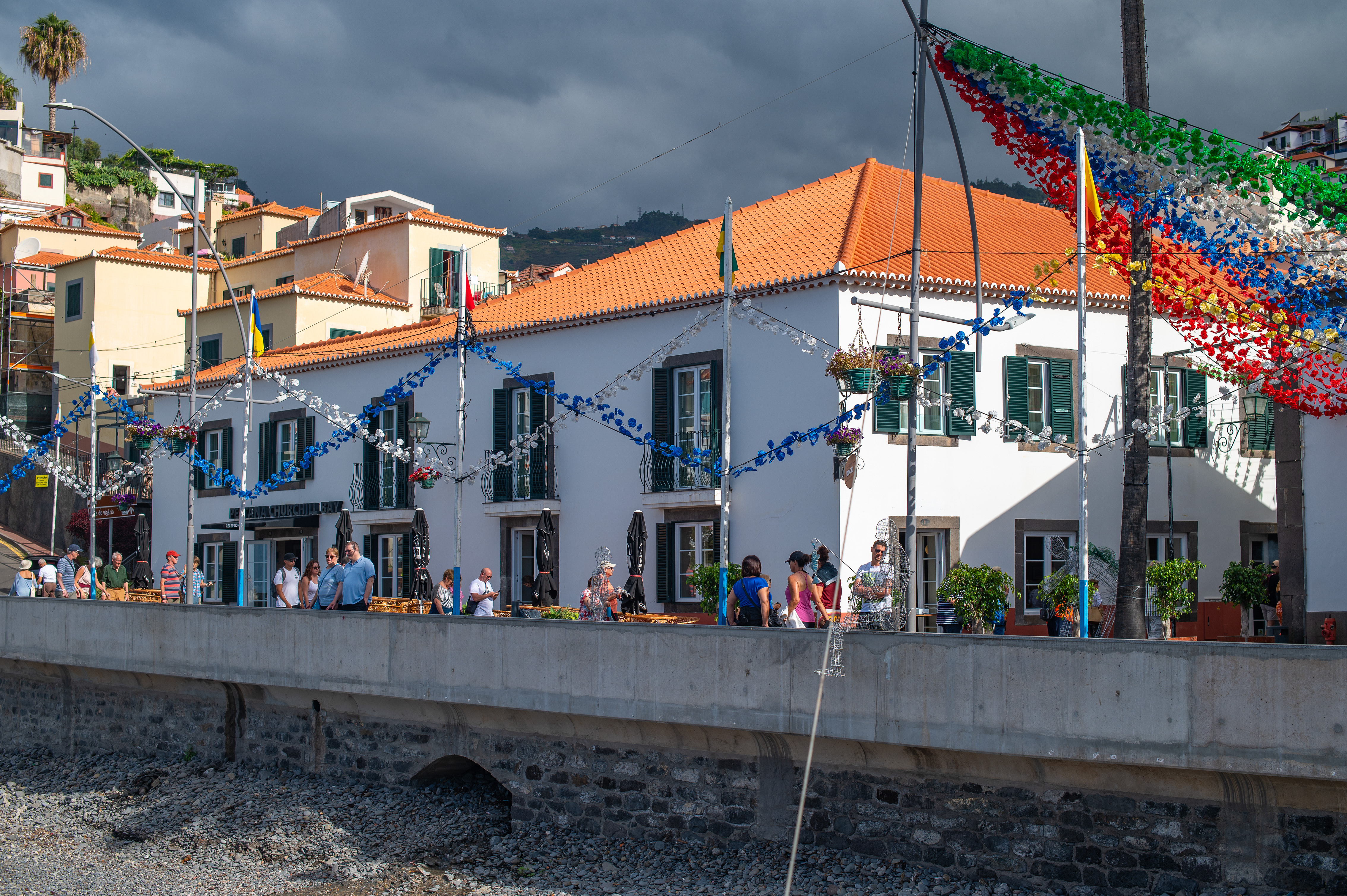 strings of lights and hanging plants