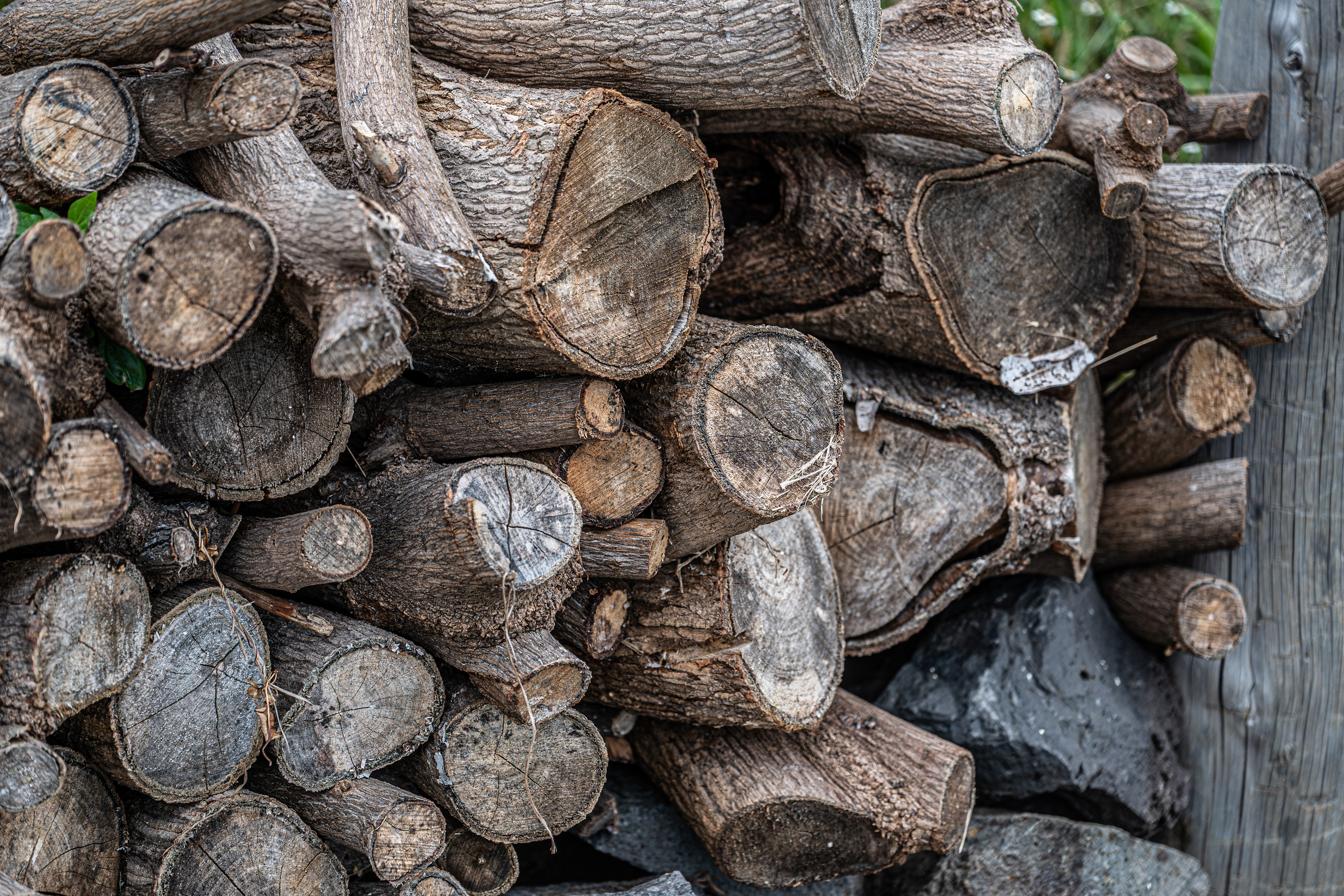 stacked pile of firewood