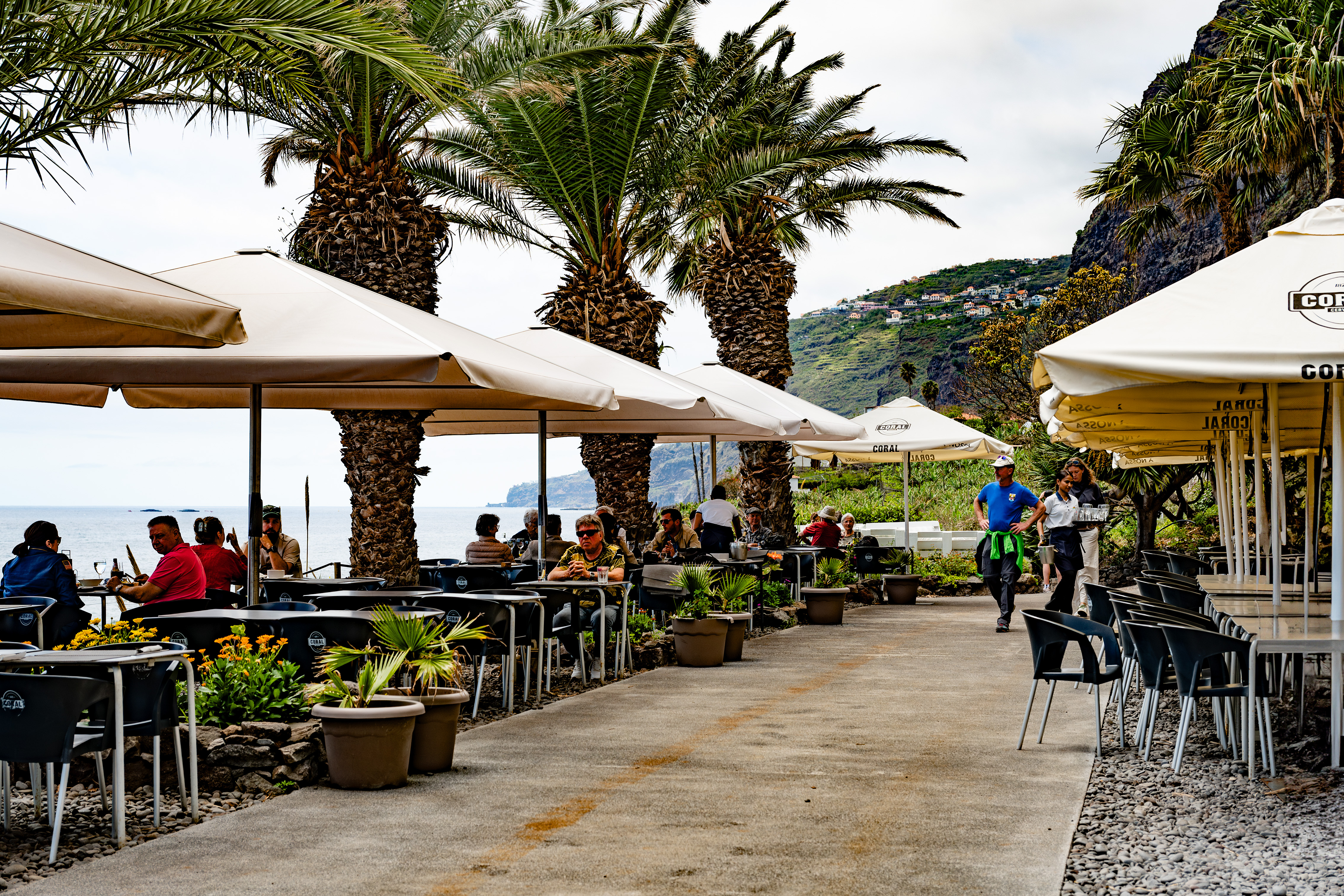 a restaurant or cafe by the seaside