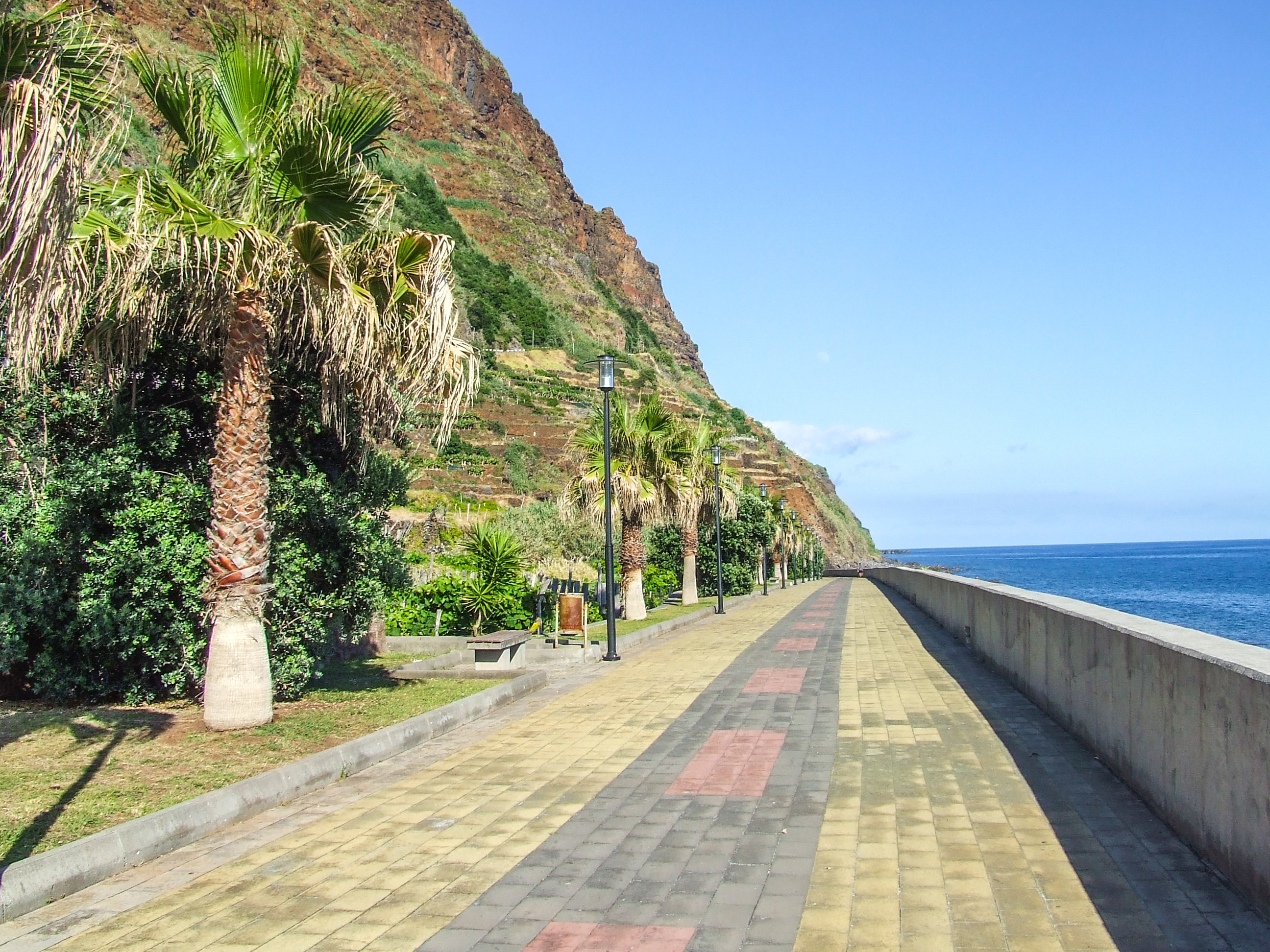 a scenic coastal walkway lined with palm trees
