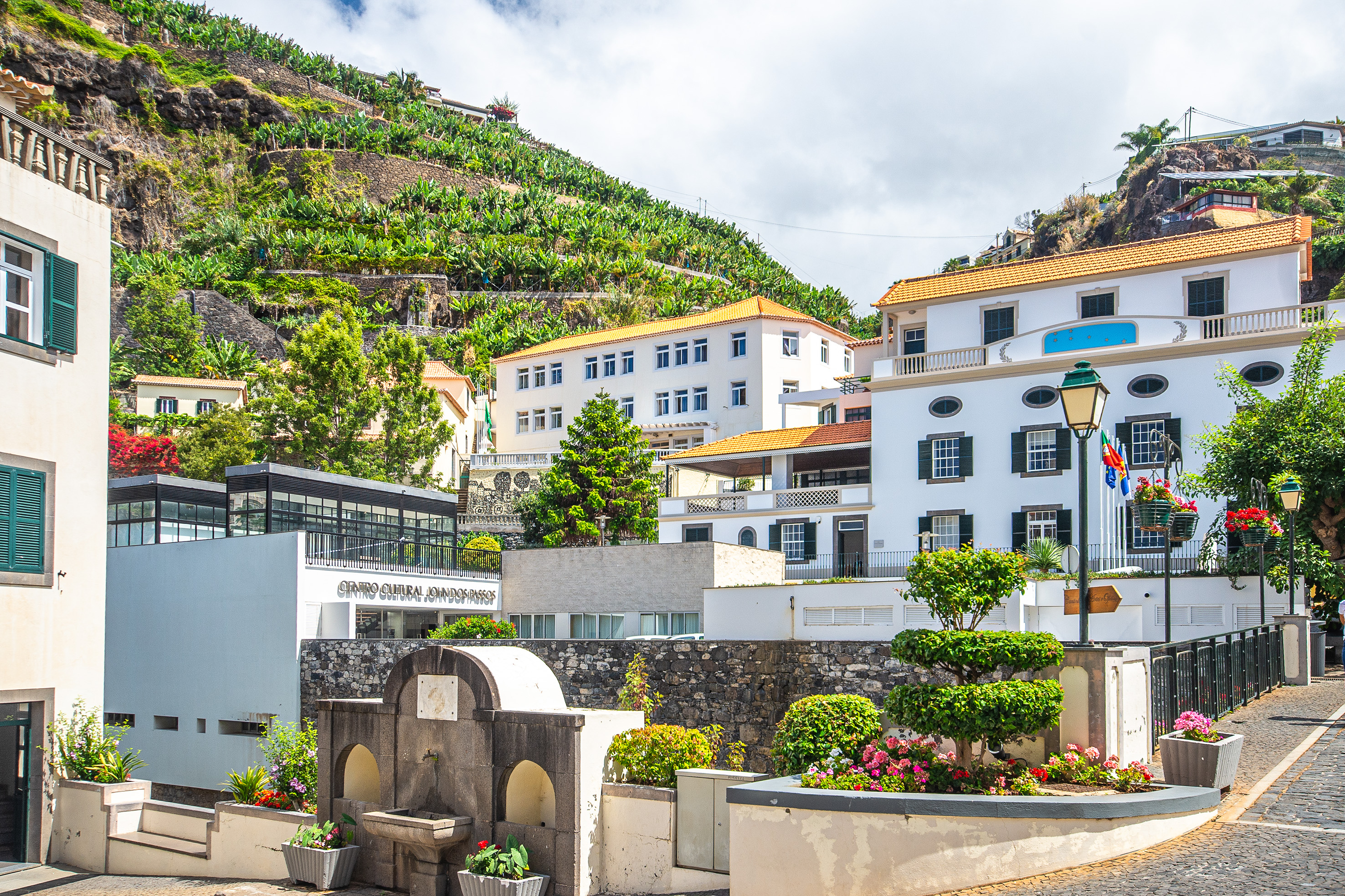 white buildings and lush greenery on a hillside