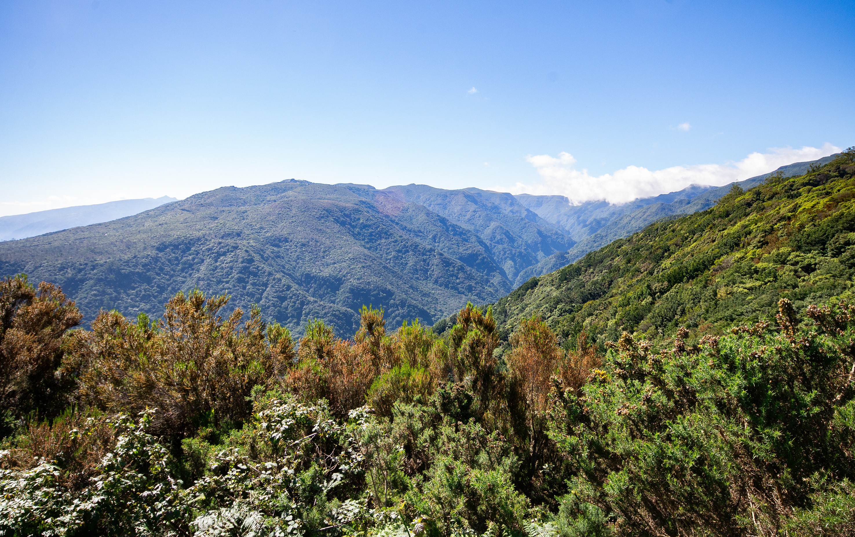 rolling hills extending into the distance