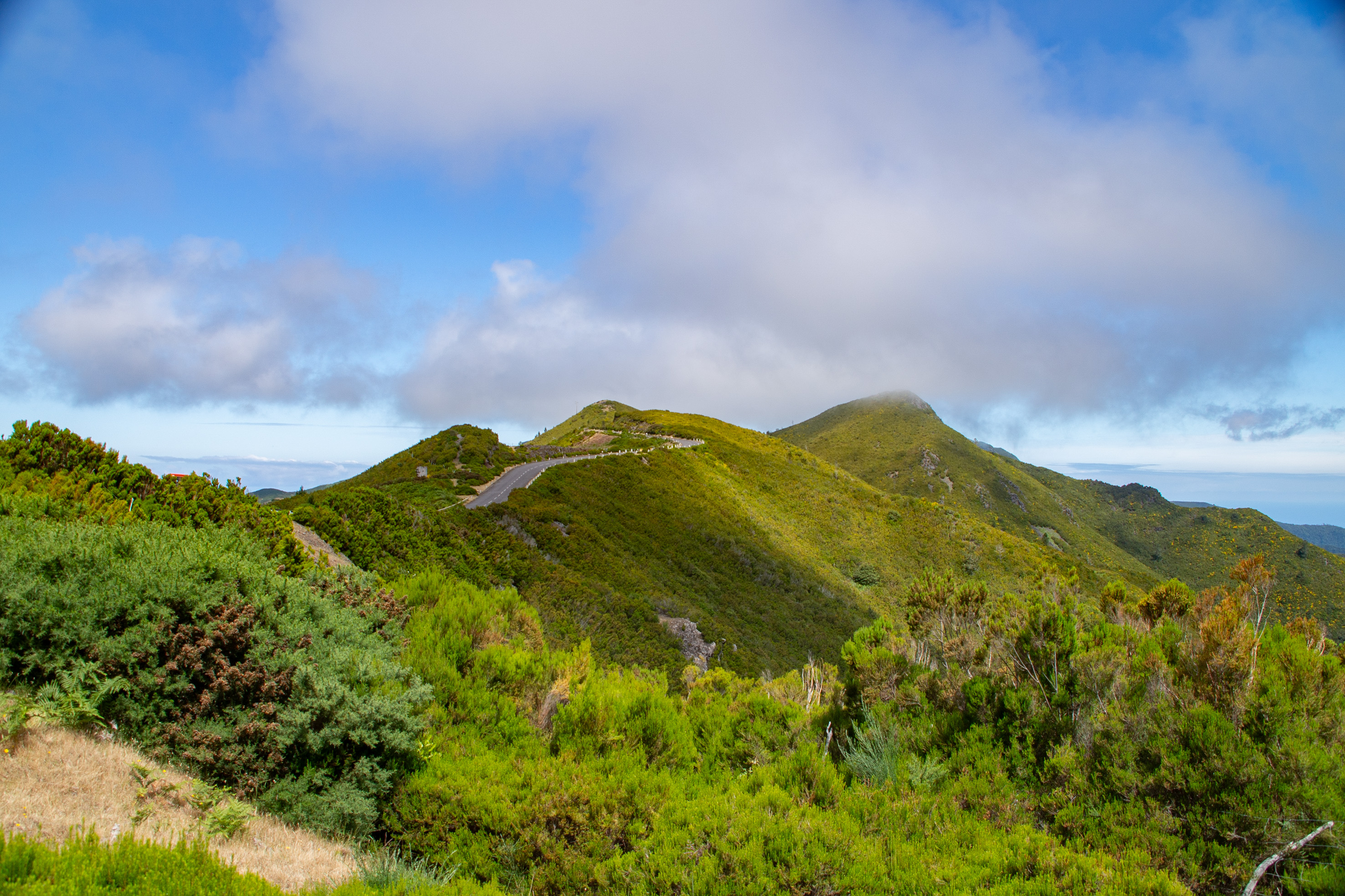 a winding road ascending a lush, green hillside