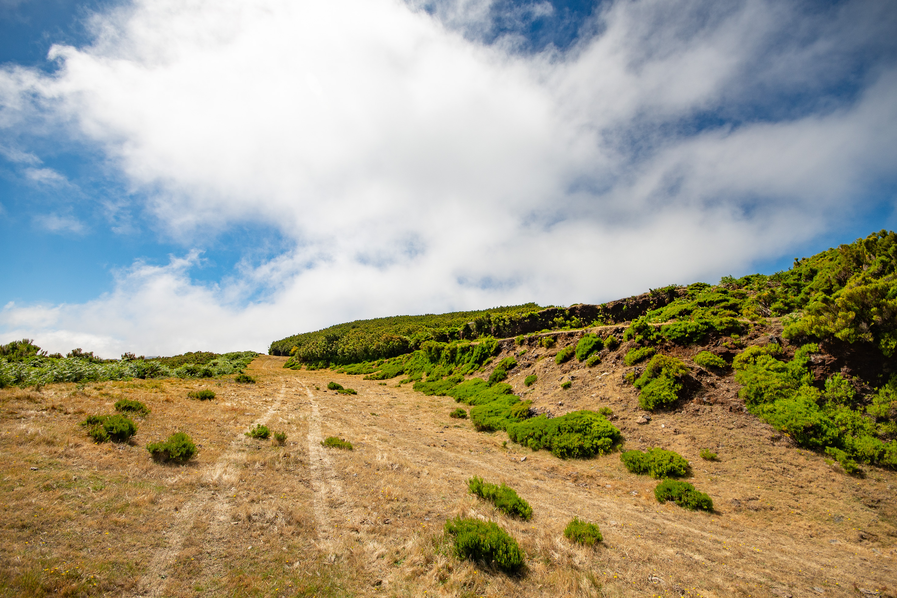 a scenic landscape with a clear blue sky dotted with white clouds
