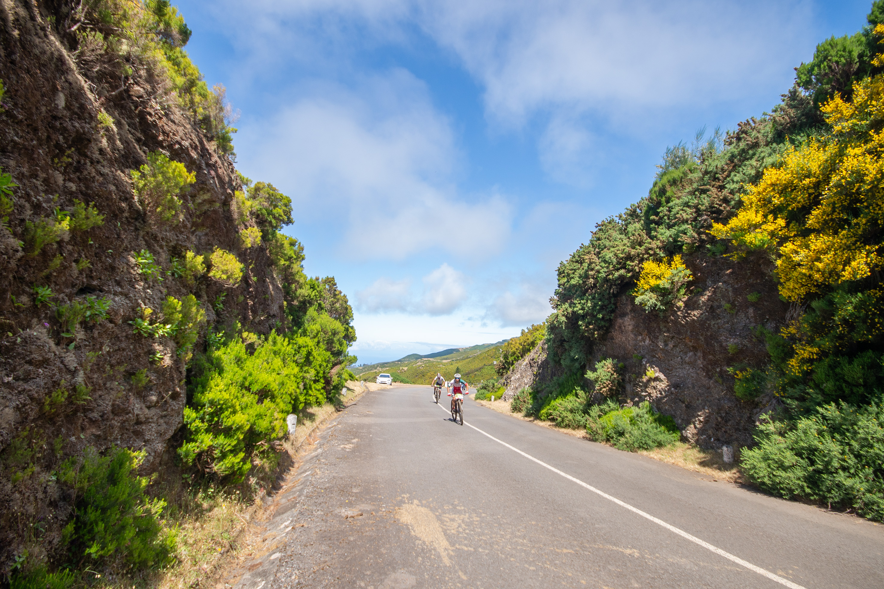 Two cyclists are riding on the road