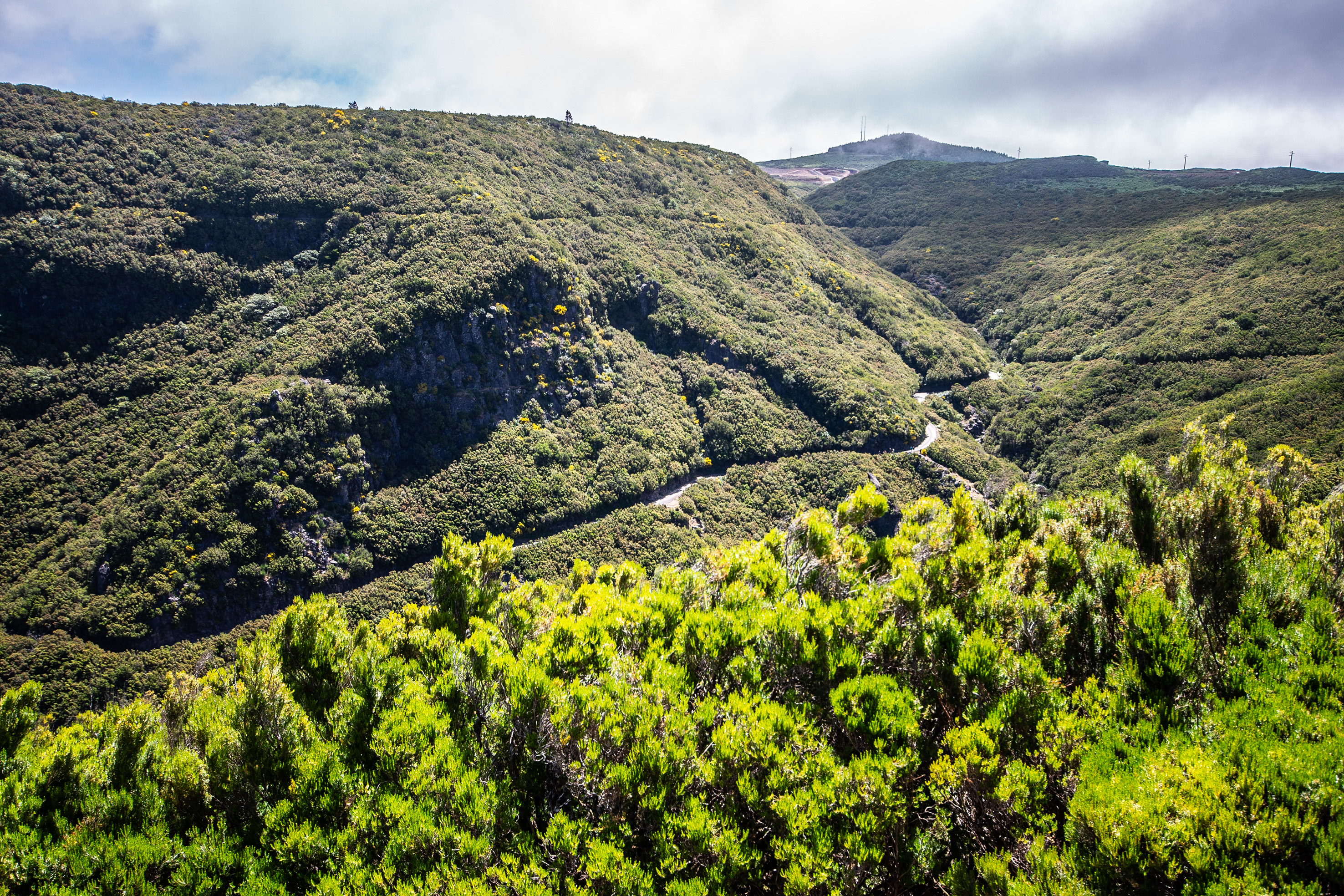 green mountainous landscape with winding paths