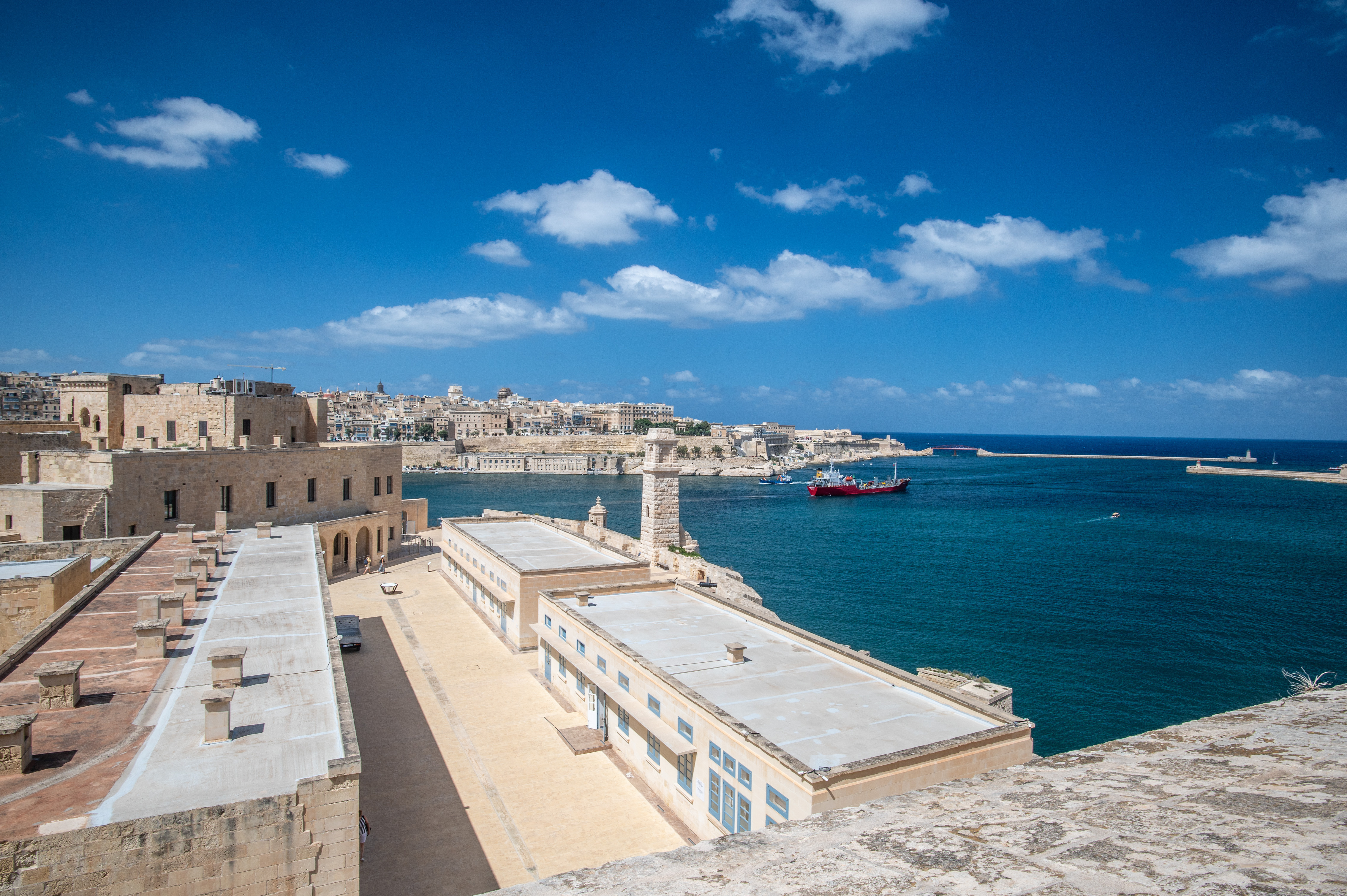 Ferramolino's Cavalier