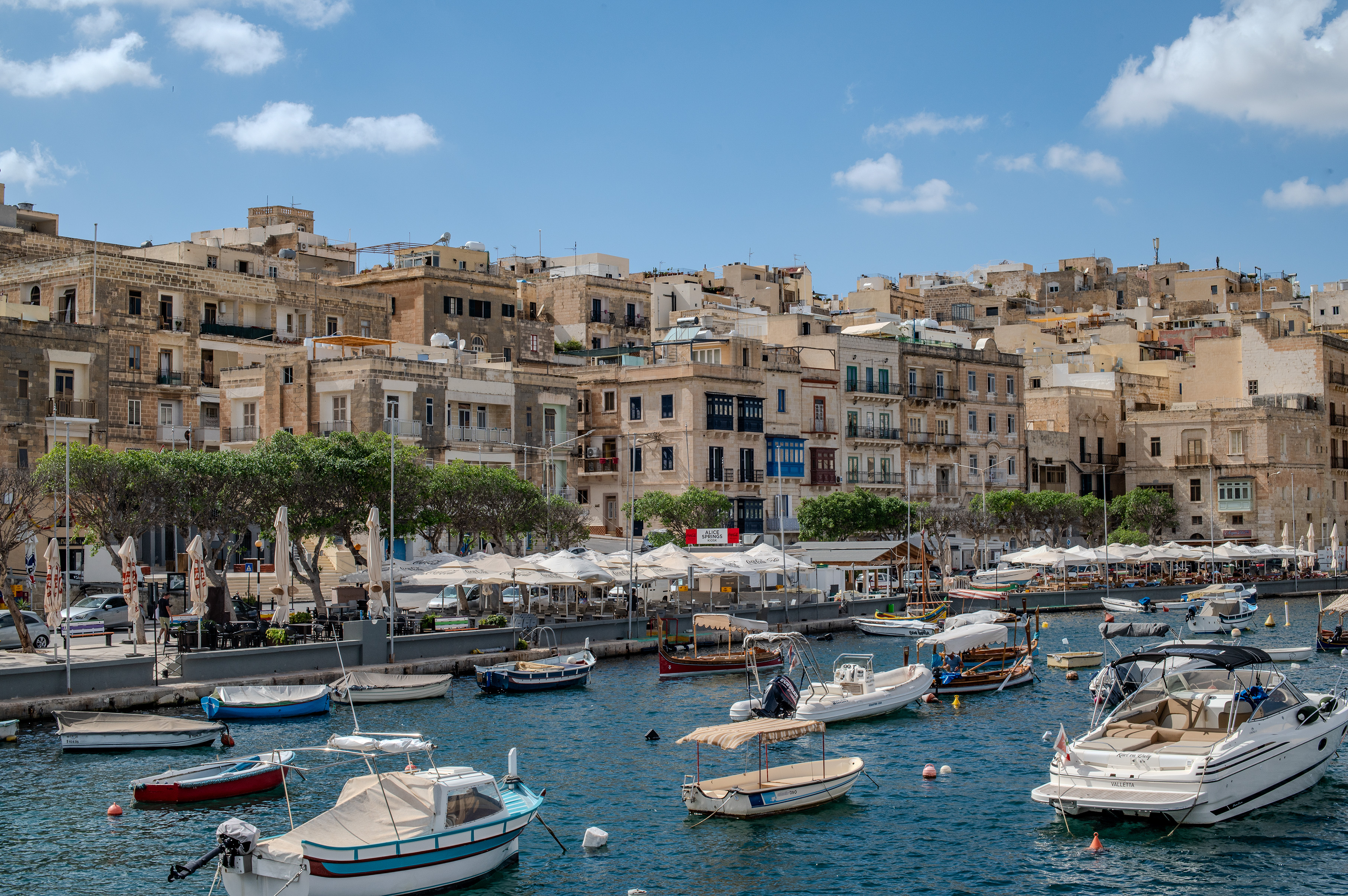 harbor filled with various boats