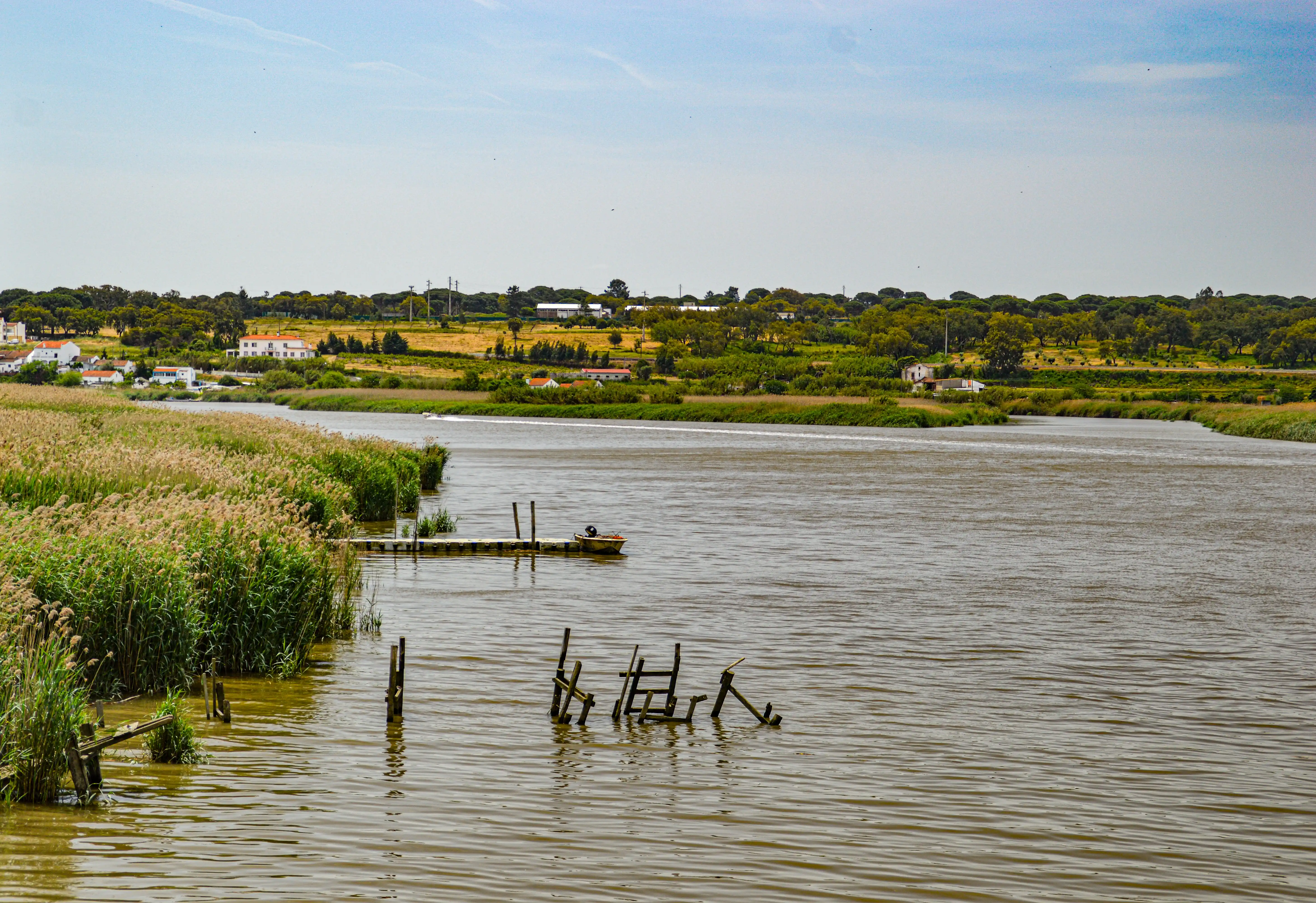 A river bends towards a distant village with white houses and red roofs, bordered by thick reeds and trees. A wooden jetty with a small boat is moored on the left, and dilapidated wooden posts emerge from the water. A speed boat creates a white trail on the river surface.
