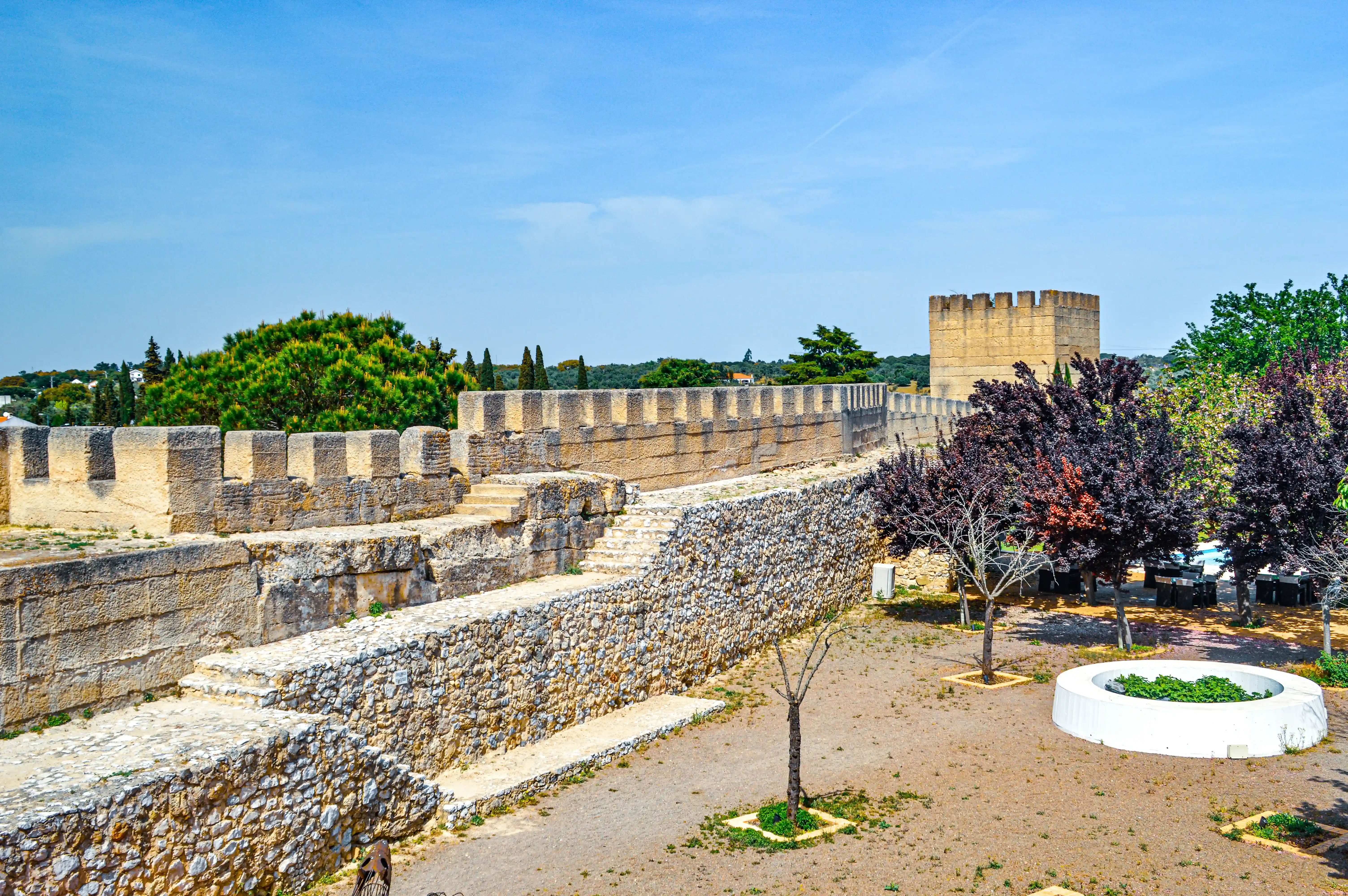 A stone fortress with battlements and a square tower under a bright blue sky. Steps lead up the walls, and trees with green and dark purple leaves grow in the courtyard below.