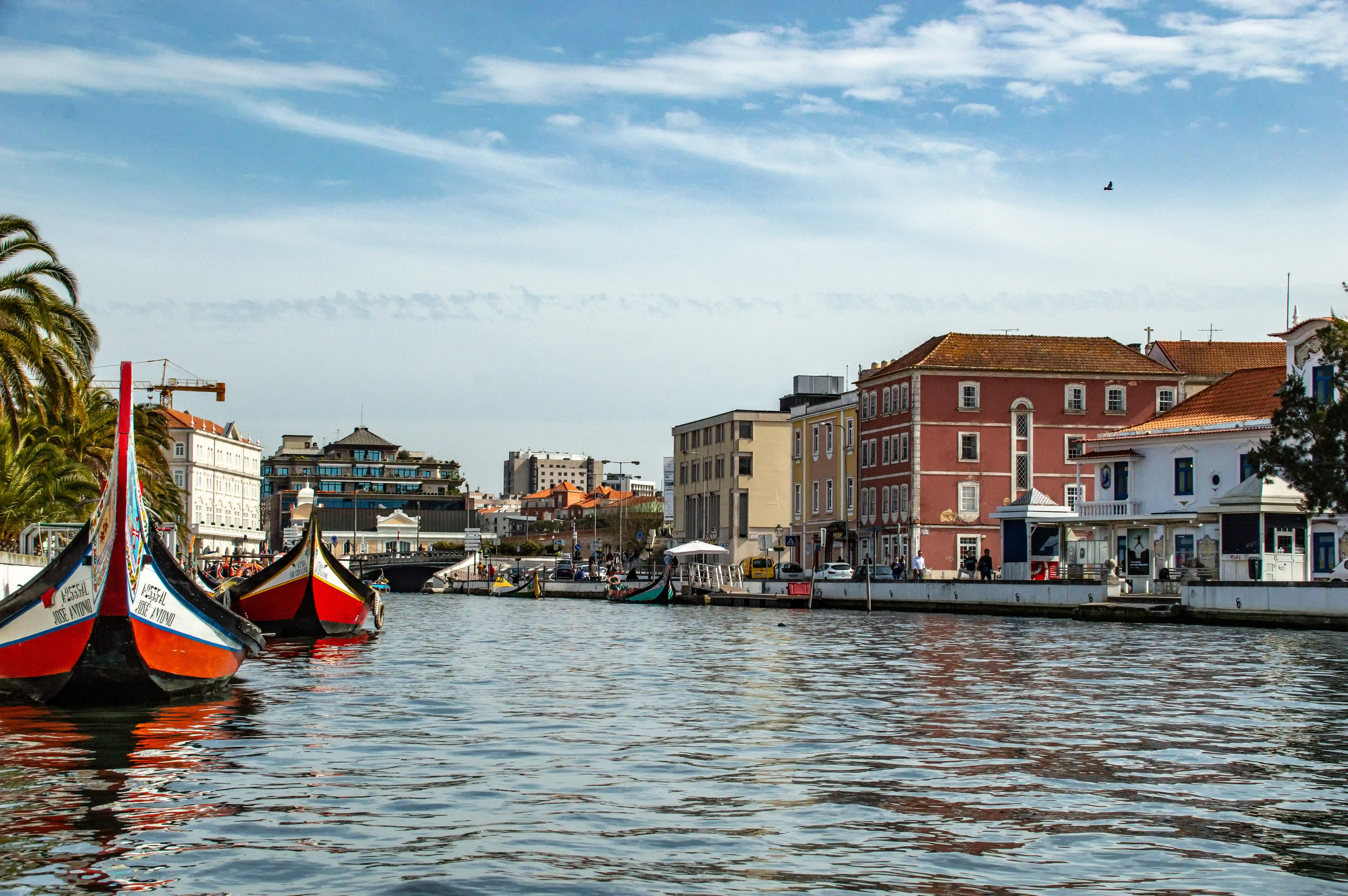 Two colourful traditional moliceiro boats with ornate prows float on a blue canal. Behind them, a waterfront promenade is lined with buildings of various colours and styles, including a striking red building with white-trimmed windows. Palm trees are visible on the left, and a bird flies in the clear blue sky above.