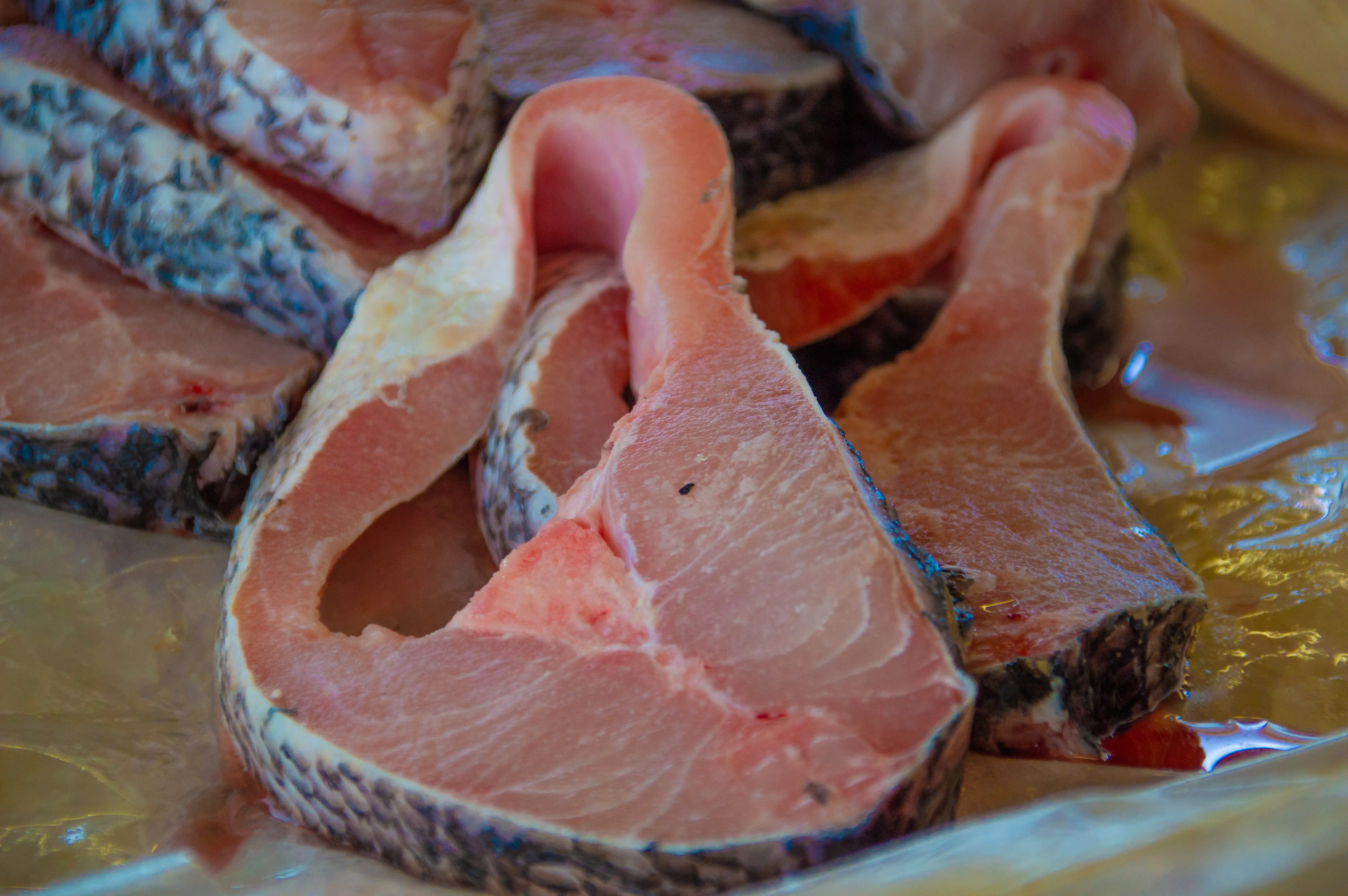 Close-up of several raw, pink fish steaks with grey scales, artfully arranged on a glistening surface.