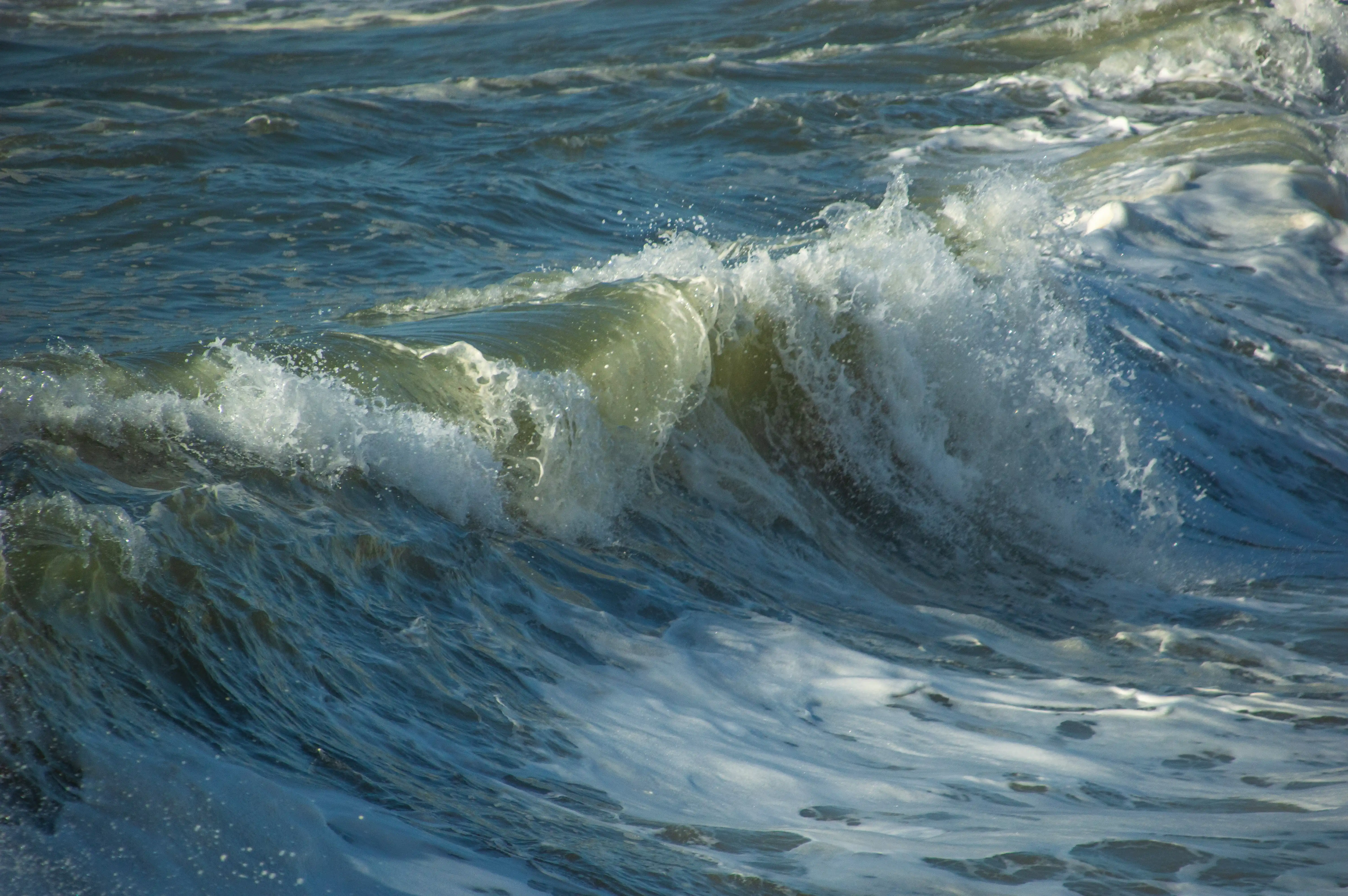 A powerful ocean wave is captured mid-break, with white foam and spray against a backdrop of dark blue water.
