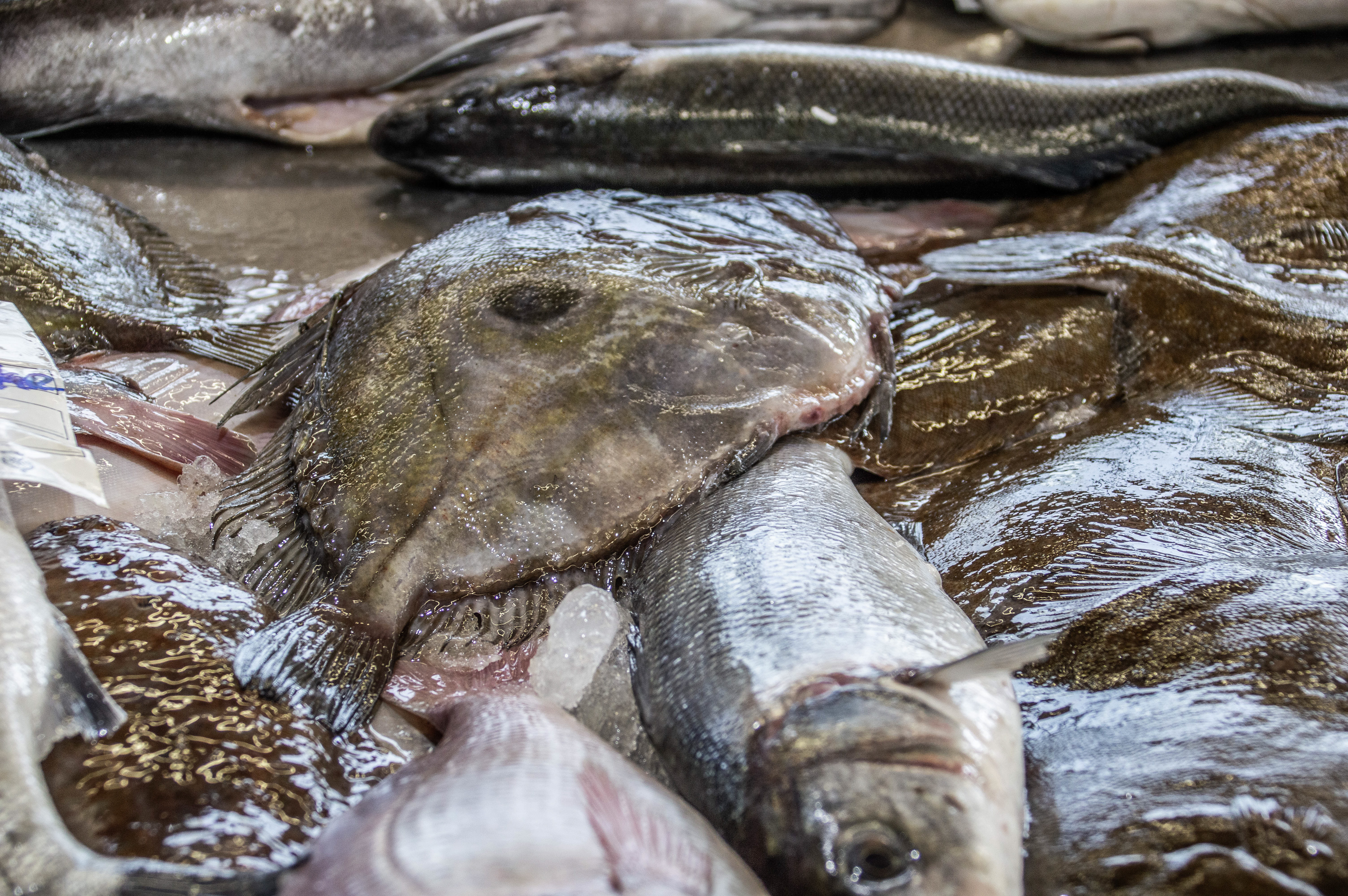 fishmonger's stall