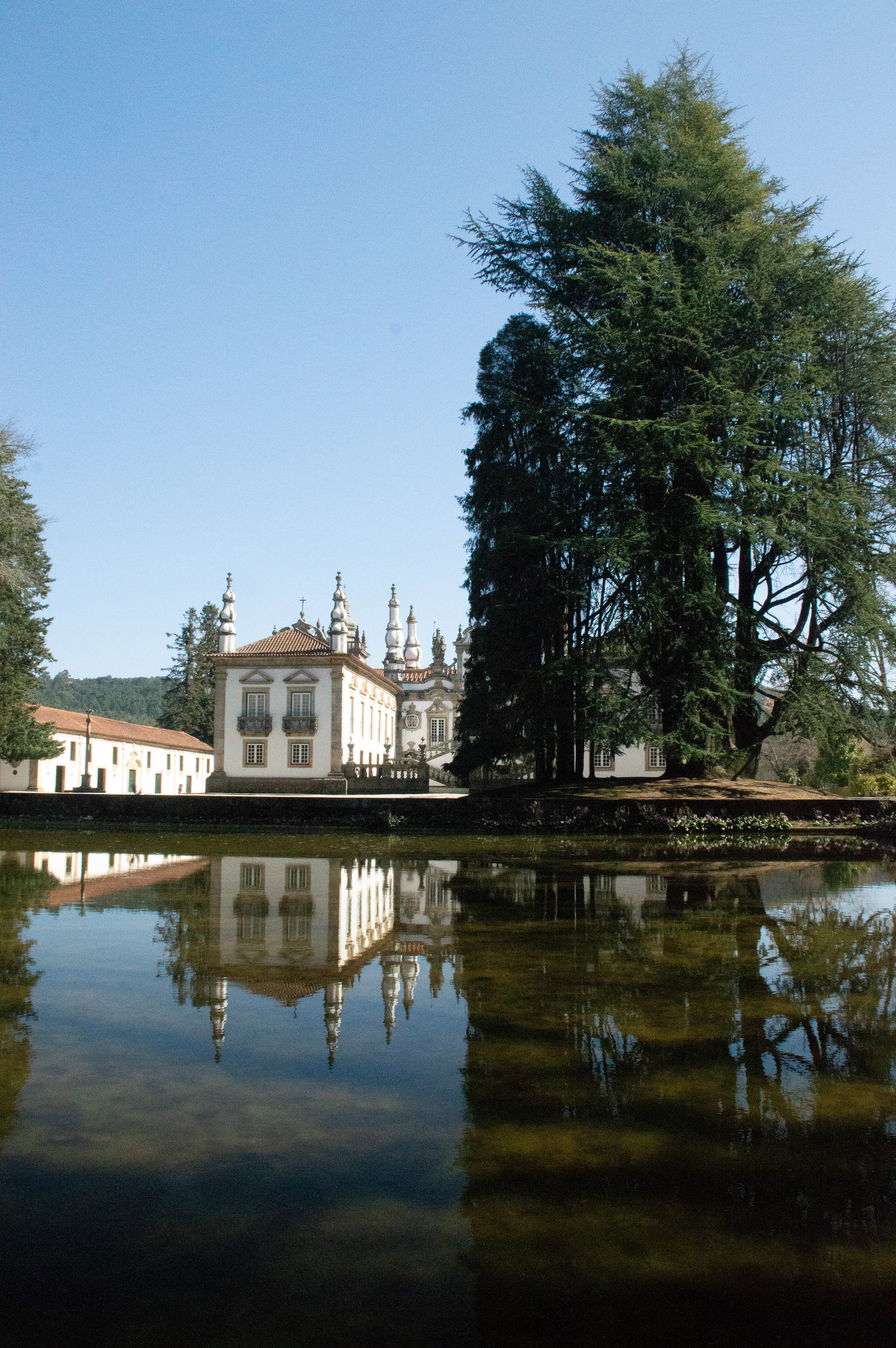 a tranquil and picturesque atmosphere