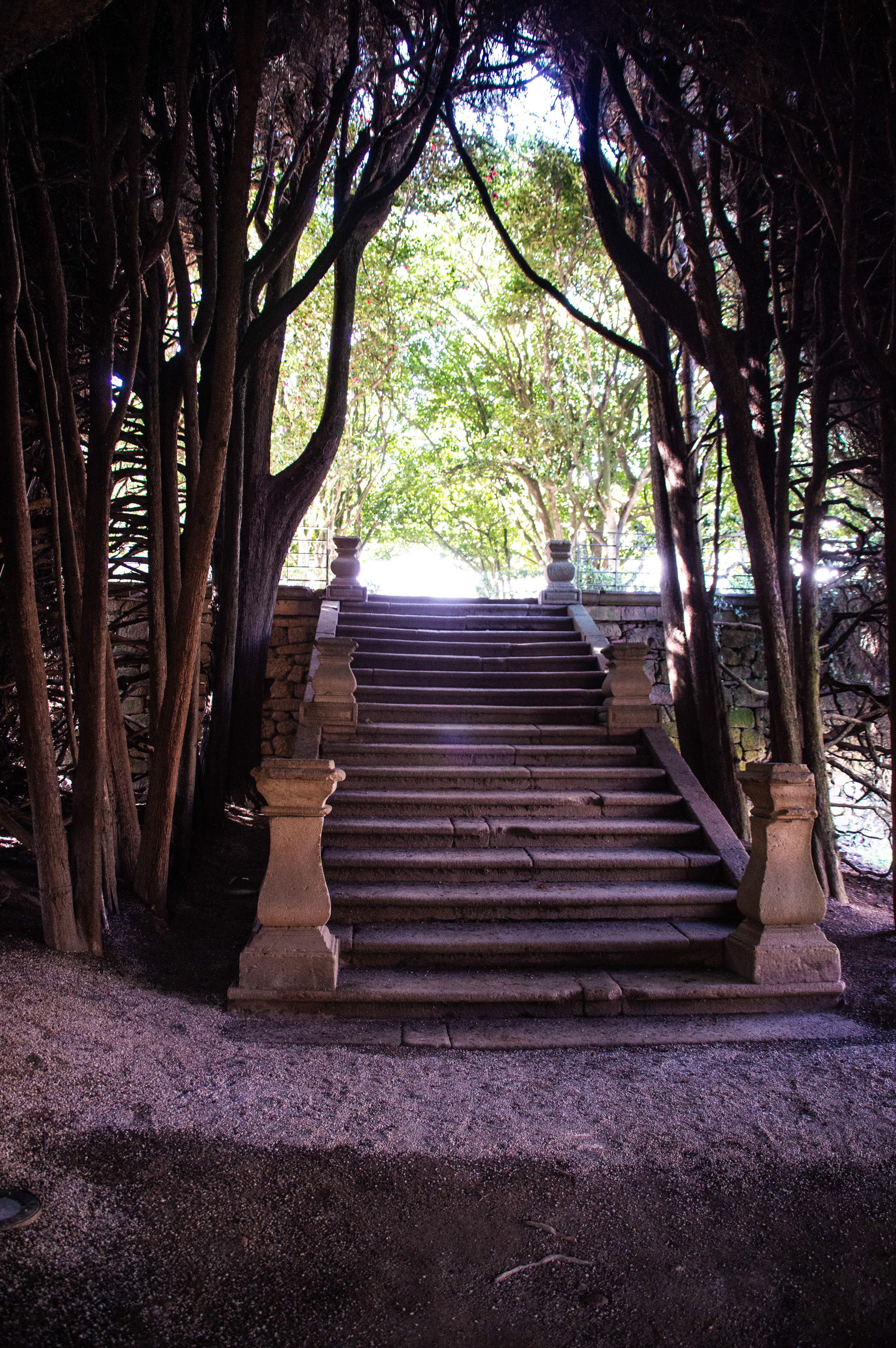 stone staircase framed by trees and greenery