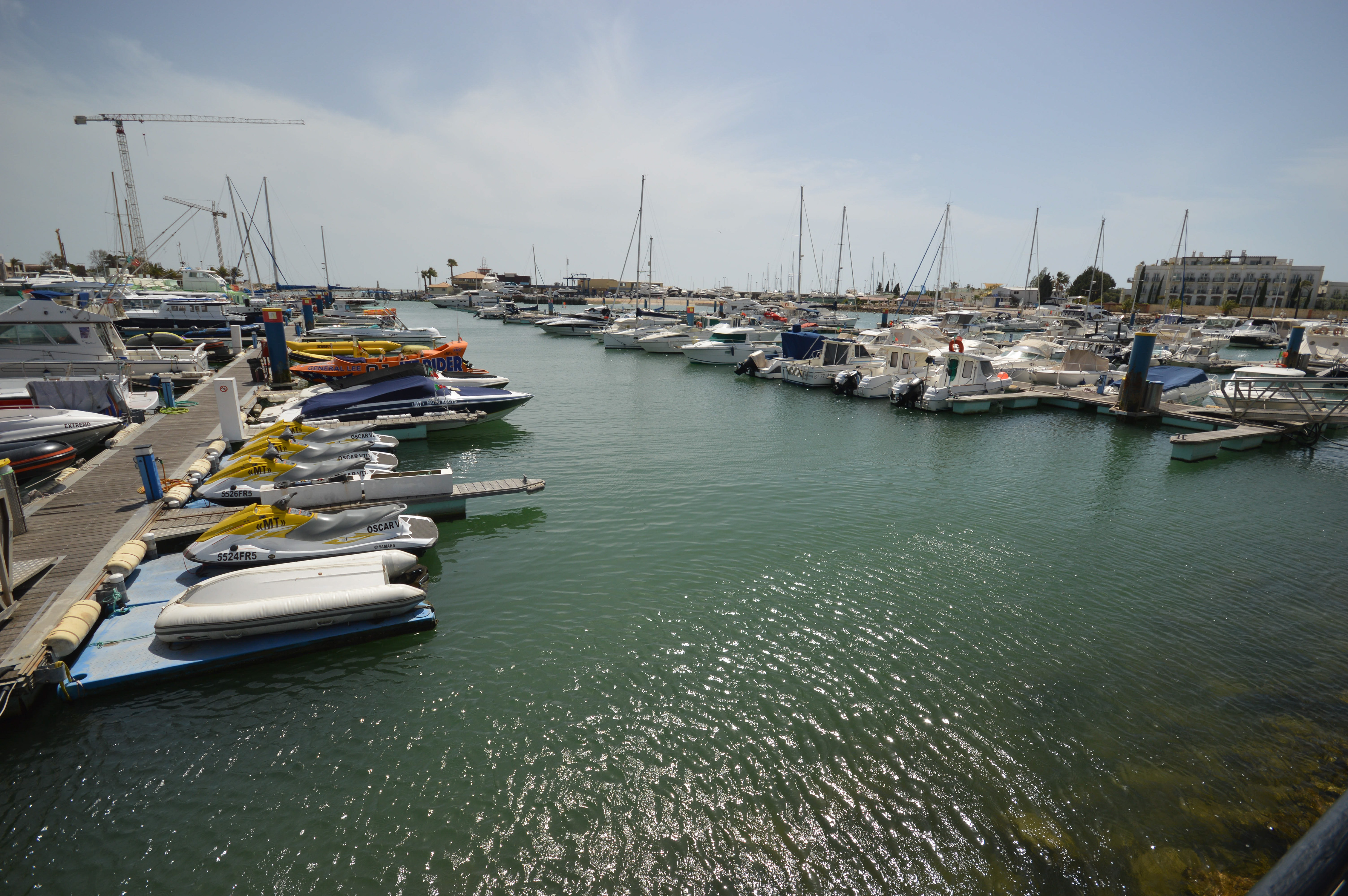 a busy marina