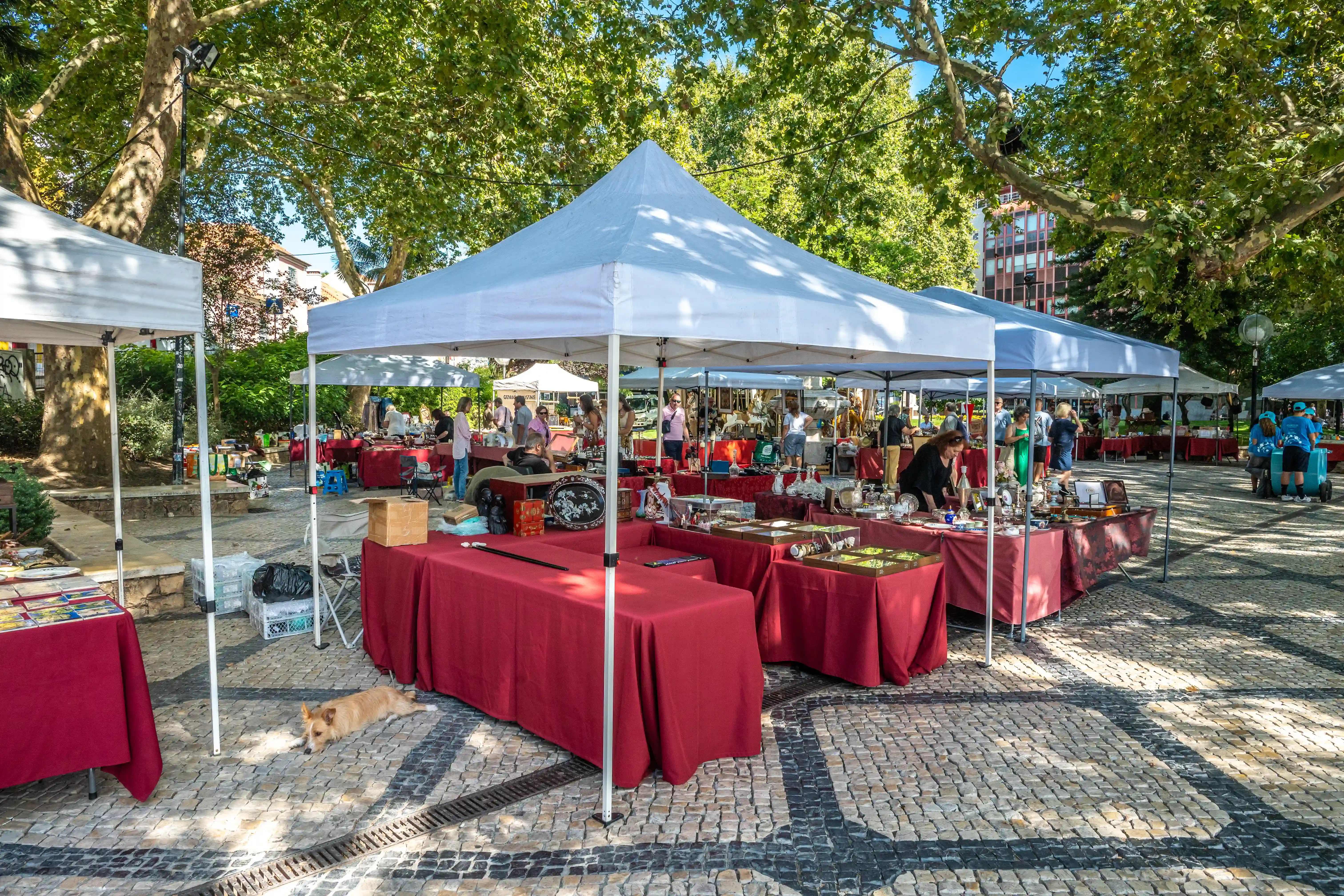 A wide-angle view of an outdoor flea market with numerous stalls covered by white canopies. People are browsing items on tables draped with red cloths. A small, light-brown dog is lying down on the patterned cobblestone ground in the foreground. Mature trees with dense foliage overhang the market, casting shadows.