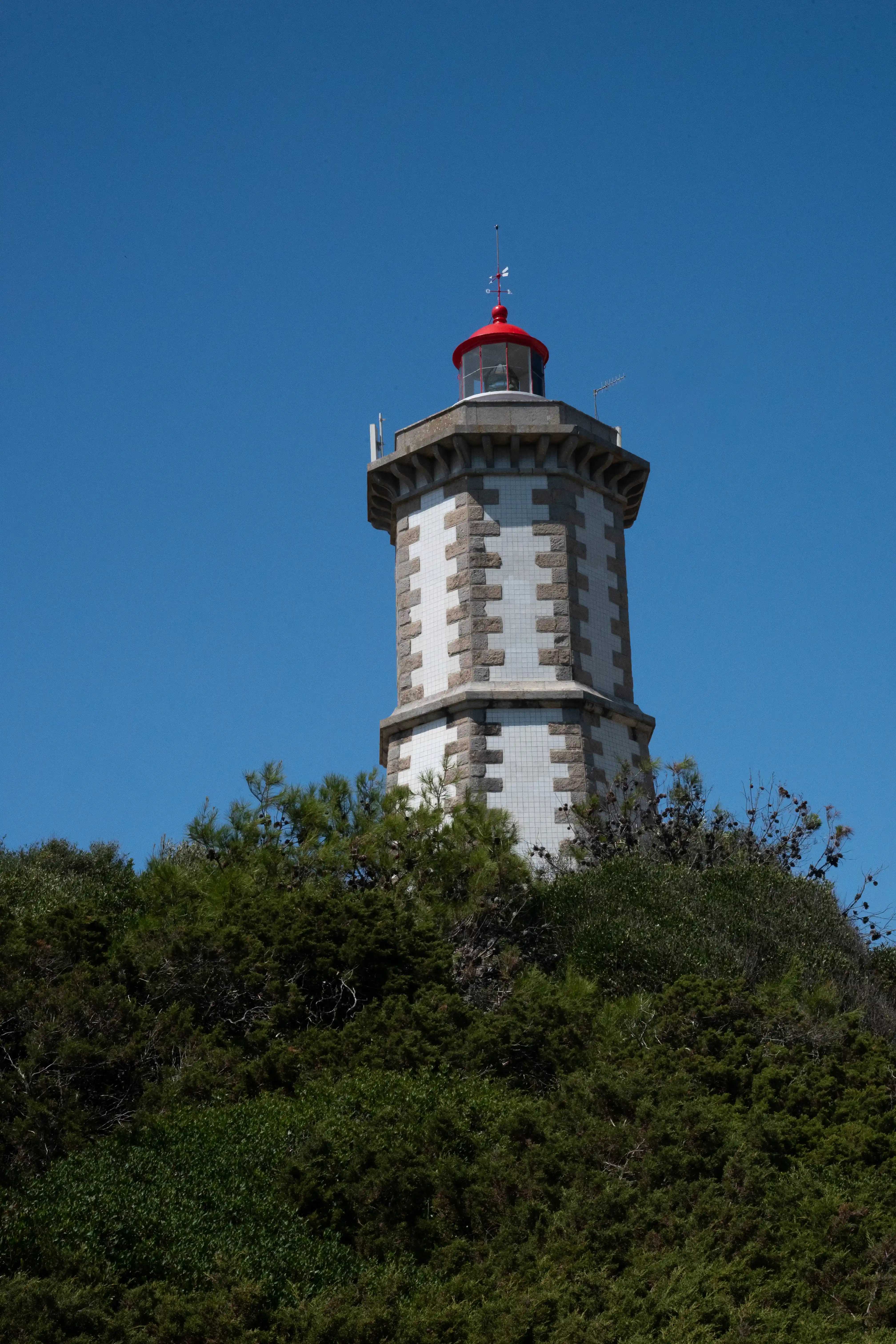 A white and grey octagonal lighthouse with a red top and a weather vane, viewed from below against a clear blue sky. The lighthouse is surrounded by dense green foliage.