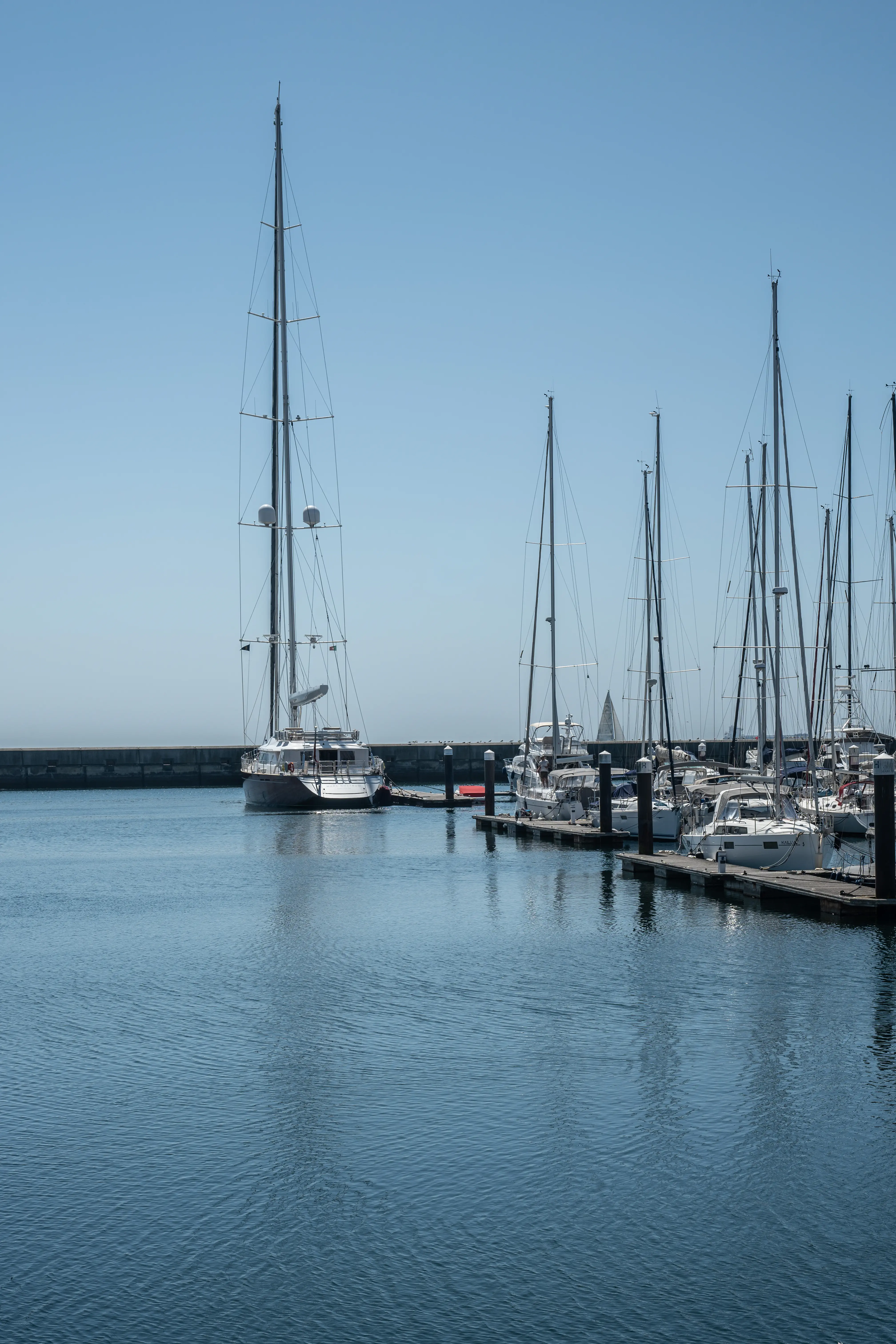 A wide view of a marina filled with various sailing yachts, their tall masts reaching towards a clear blue sky. The yachts are docked along a wooden pier, with their reflections visible in the still, blue water below.