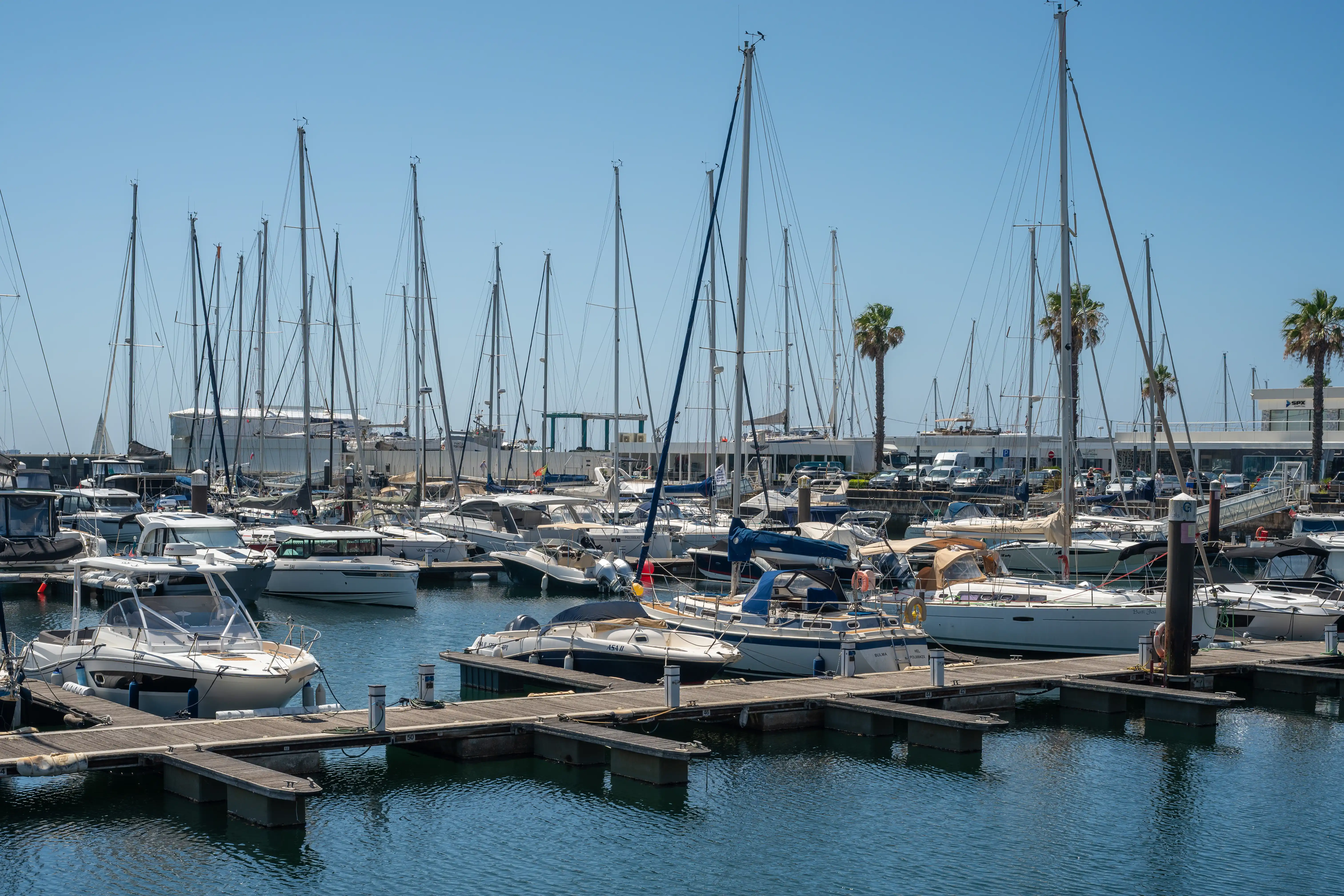 A marina filled with various boats, including sailboats with tall masts and smaller motorboats, docked under a bright blue sky. Palm trees line the shore behind the boats, and a wooden jetty extends into the foreground.