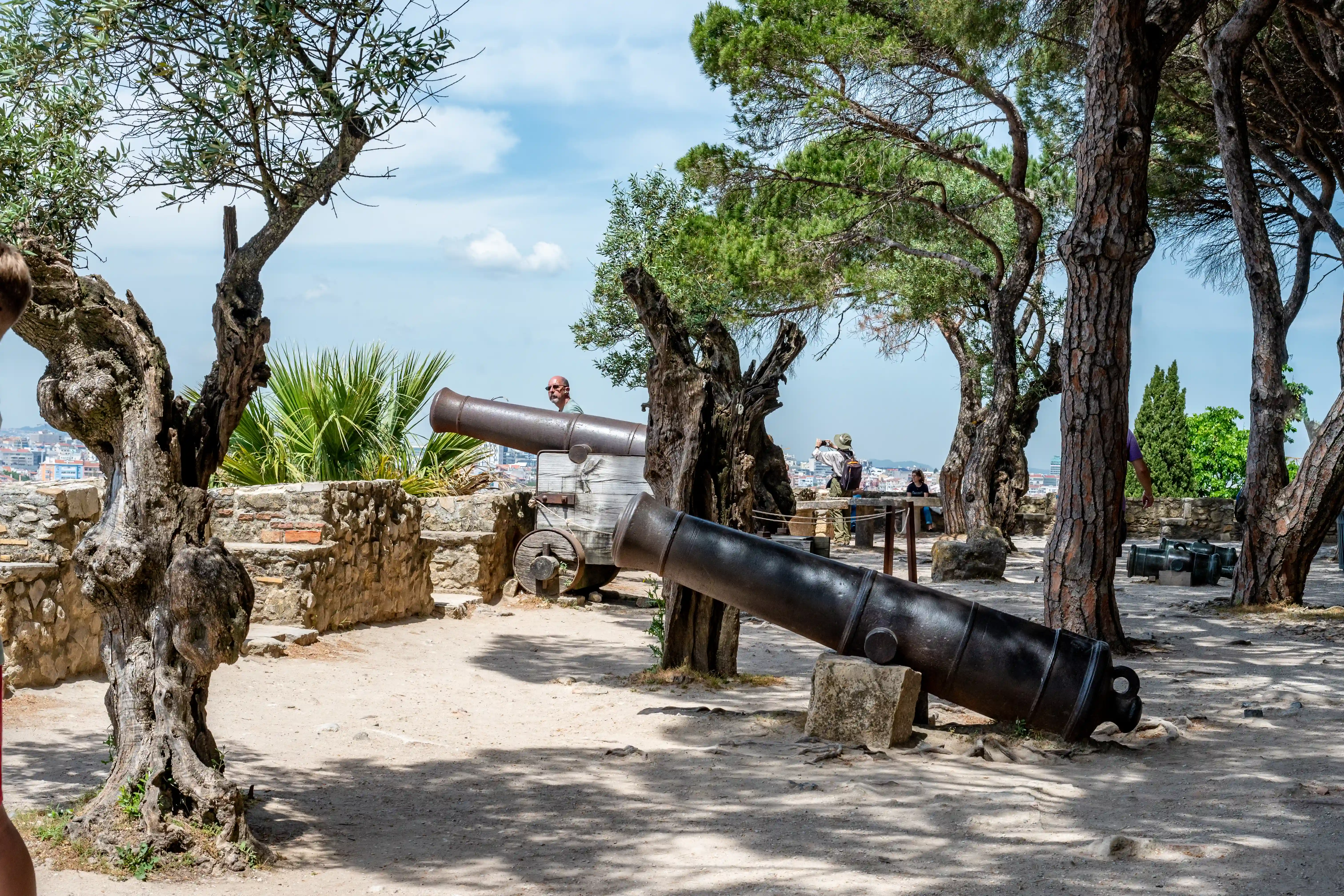 Two cannons, one in the foreground resting on stones and another on a wooden carriage behind it, are seen at a historical site with gnarled trees. A city skyline is visible in the distance under a blue sky with clouds. People are scattered around the site.