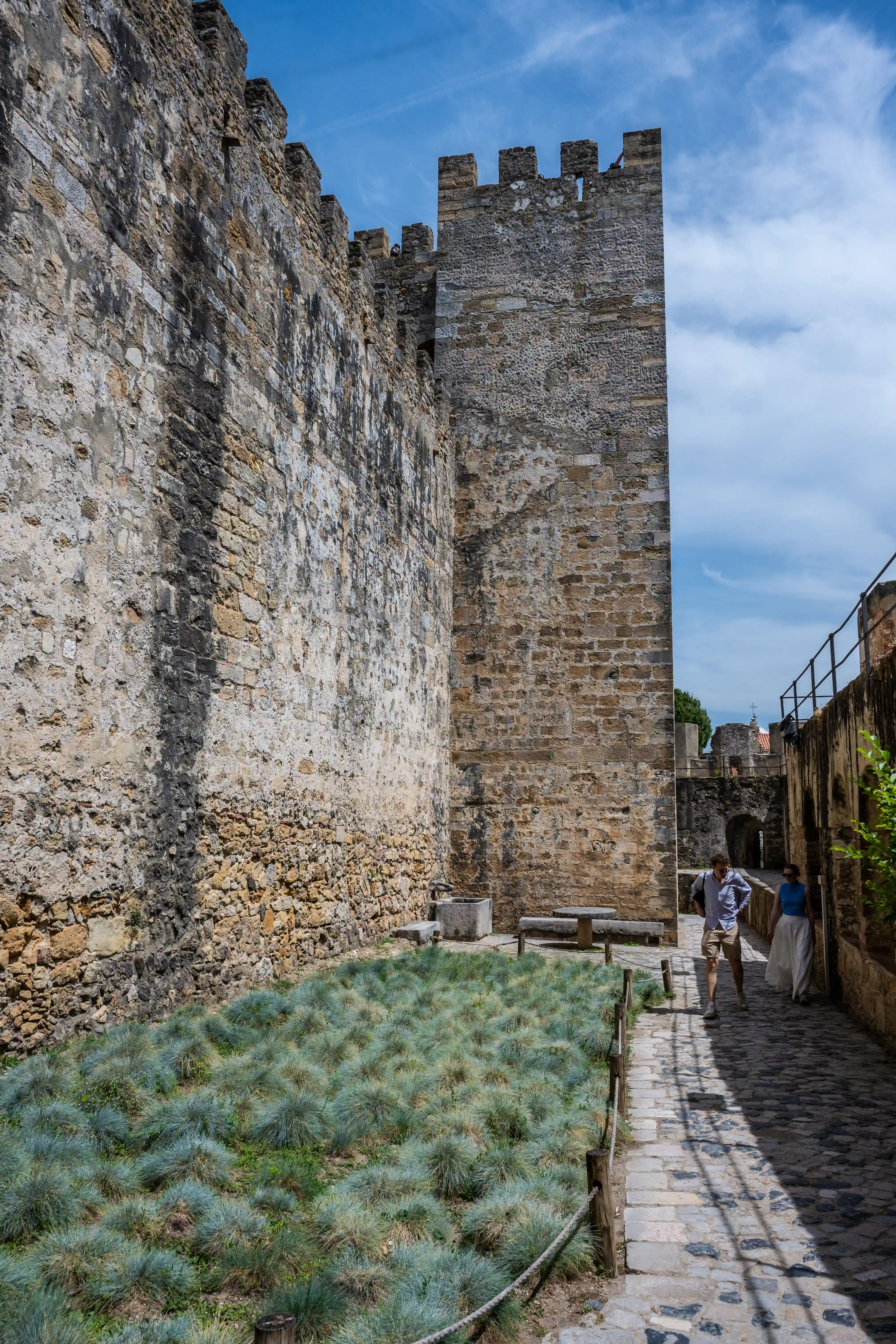 Two people walk along a cobbled path next to a high, ancient stone castle wall. In the foreground, a patch of fluffy, blue-green ornamental grass is enclosed by a rope fence.