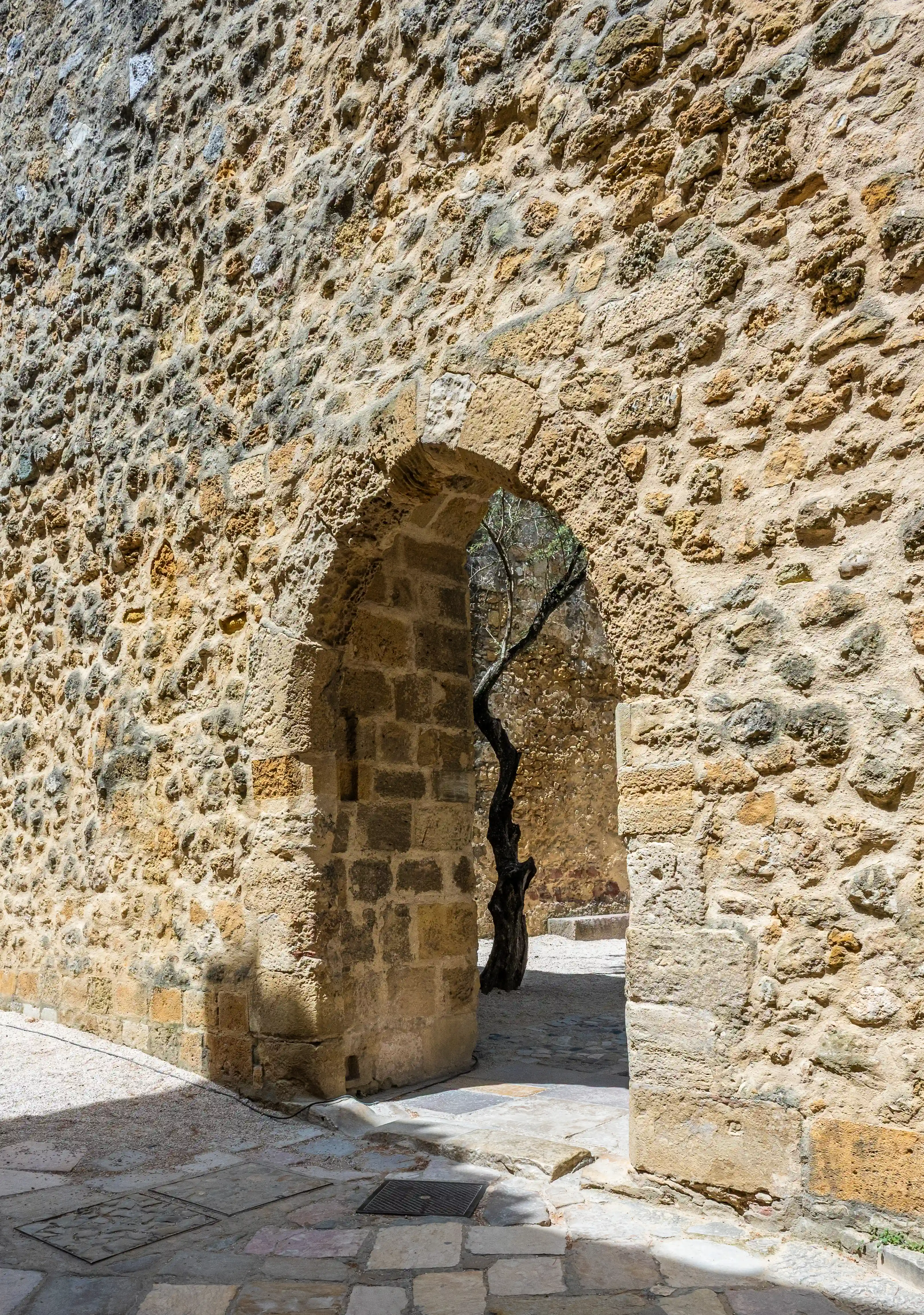 A sunlit stone pathway leads to an arched opening in a textured stone wall. A dark, twisted tree is visible through the archway.

