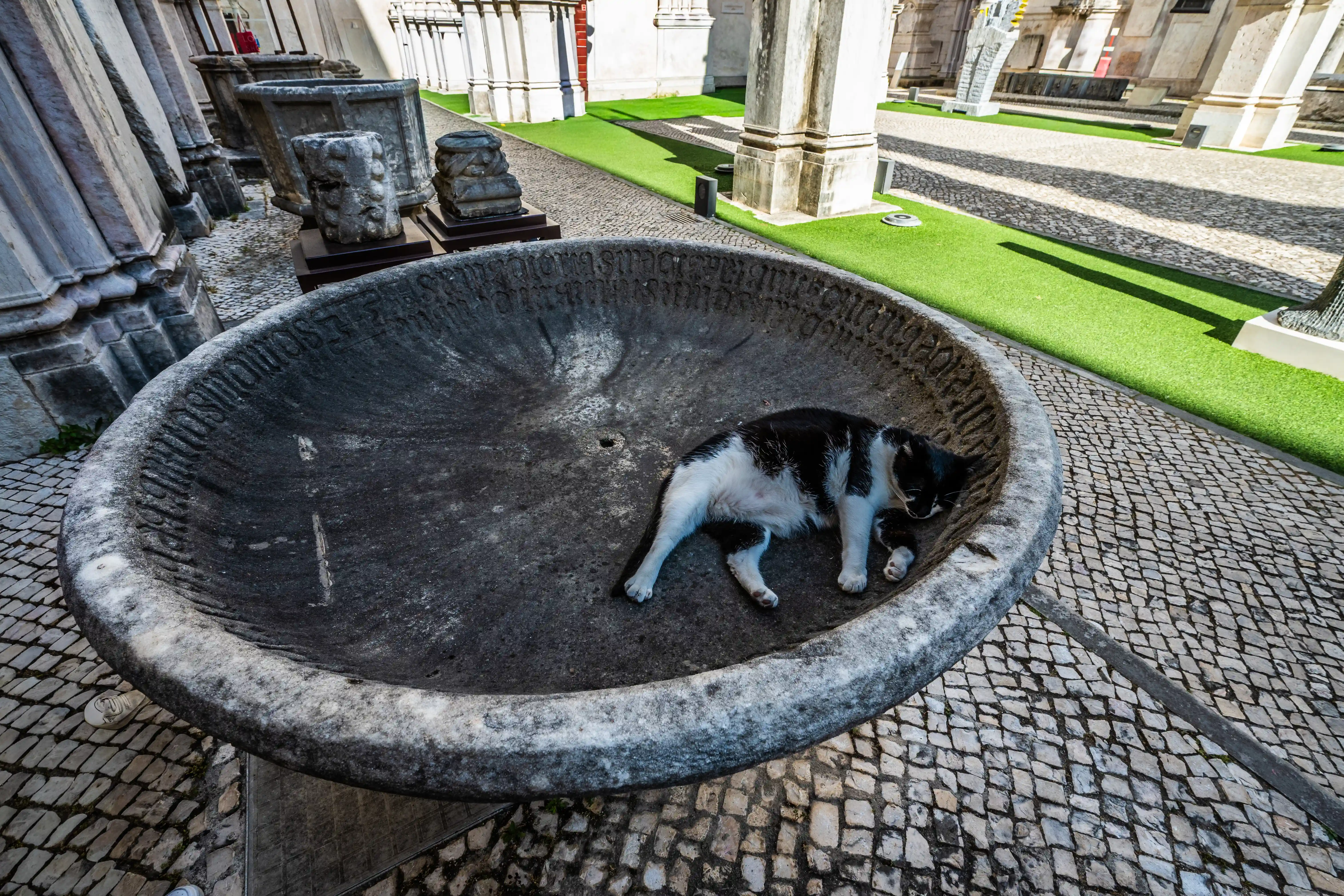 A black and white cat sleeps soundly in a round, textured stone basin with carved inscriptions. The basin is in a sunny courtyard paved with cobblestones, with artificial grass and museum exhibits in the background.
