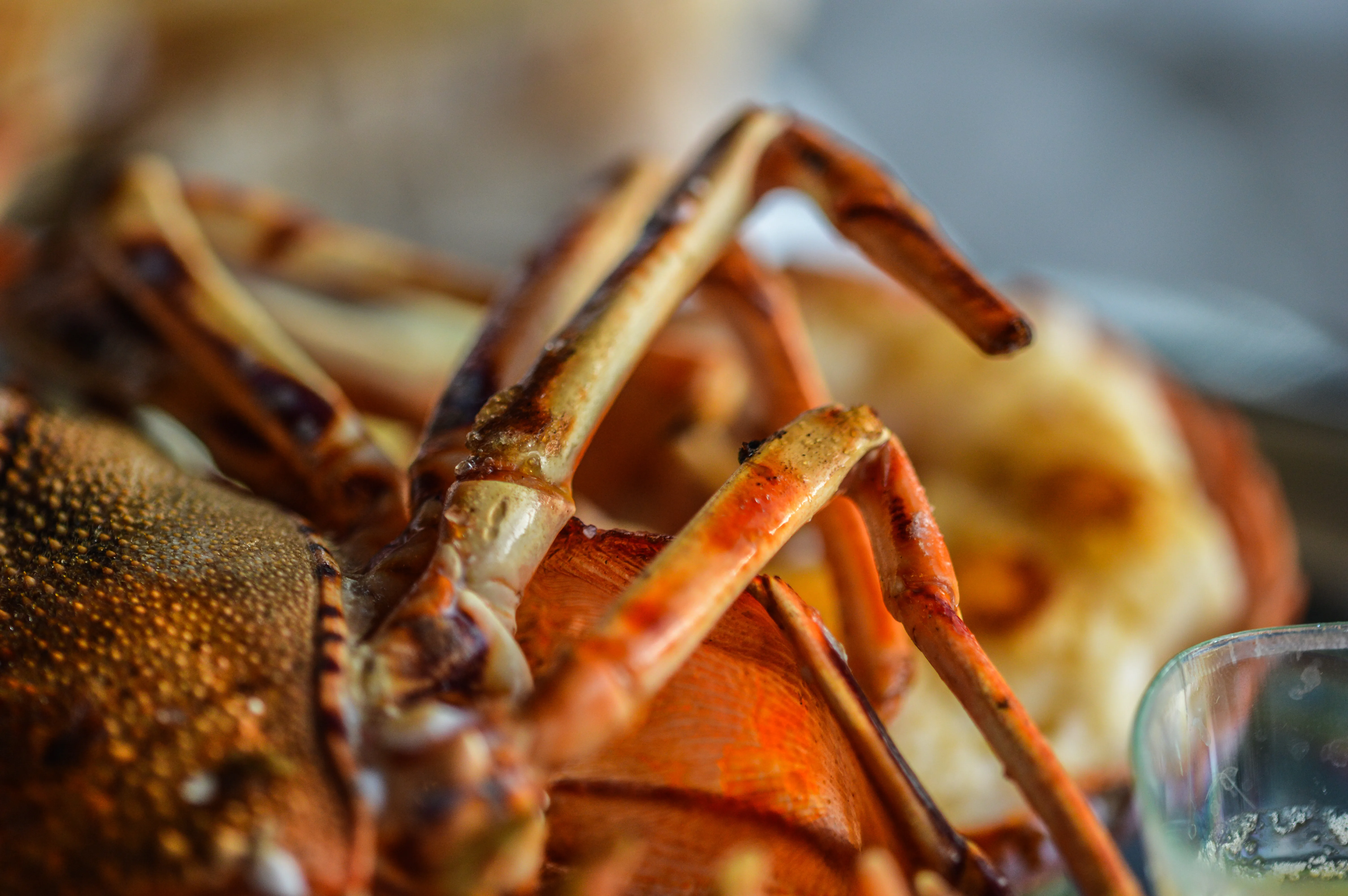 Close-up, high-angle view of the cooked legs and textured body of a bright orange lobster.