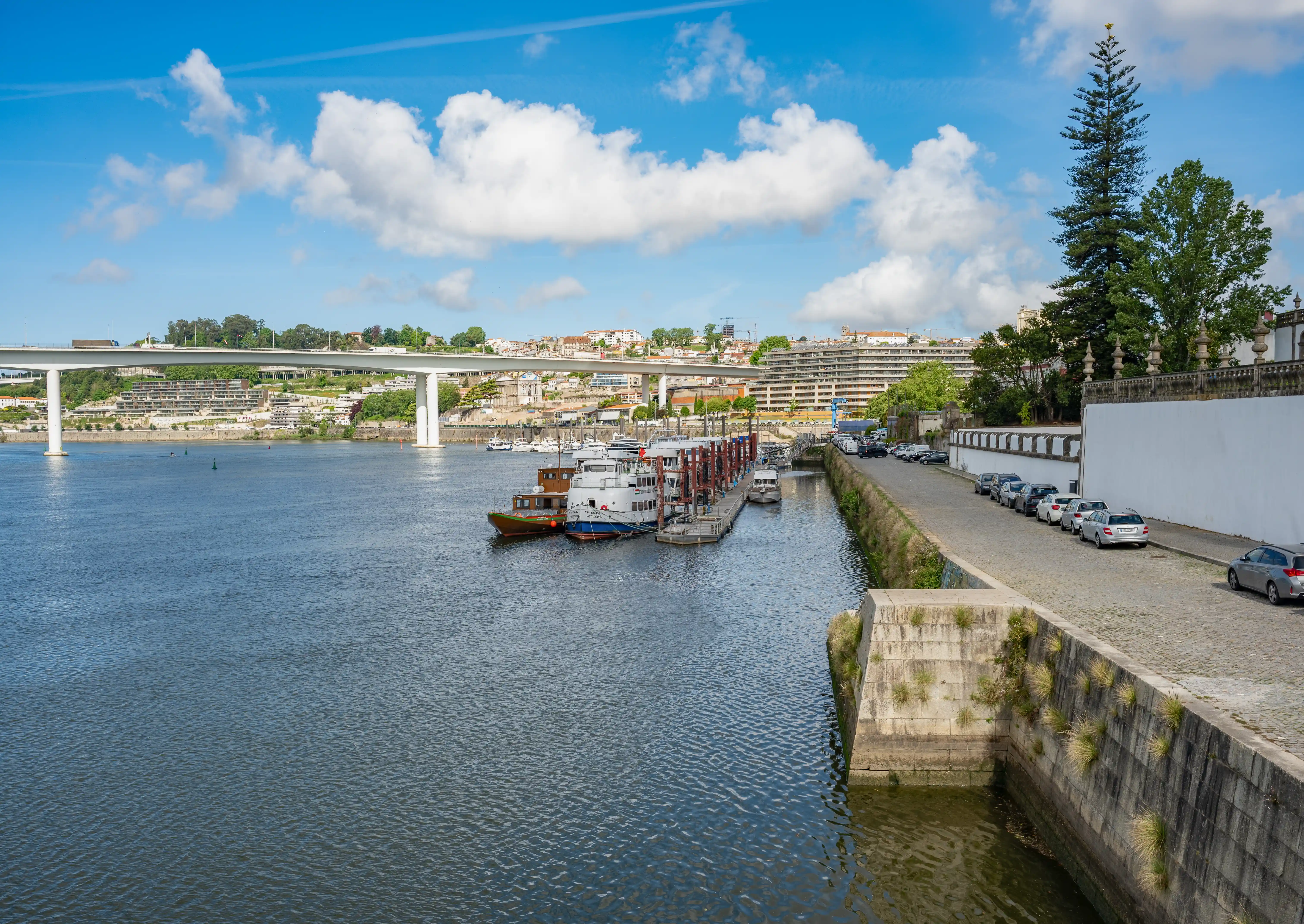 A wide shot of the Douro River in Porto, Portugal, under a blue sky with white clouds. Ponte do Freixo, spans the river in the distance. Several tourist boats are docked on the right side of the river, with a cobbled promenade and parked cars beyond them. A tall pine tree is visible on the right.A wide shot of the Douro River in Porto, Portugal, under a blue sky with white clouds. The Dom Luís I Bridge spans the river in the distance. Several tourist boats are docked on the right side of the river, with a cobbled promenade and parked cars beyond them. A tall pine tree is visible on the right.