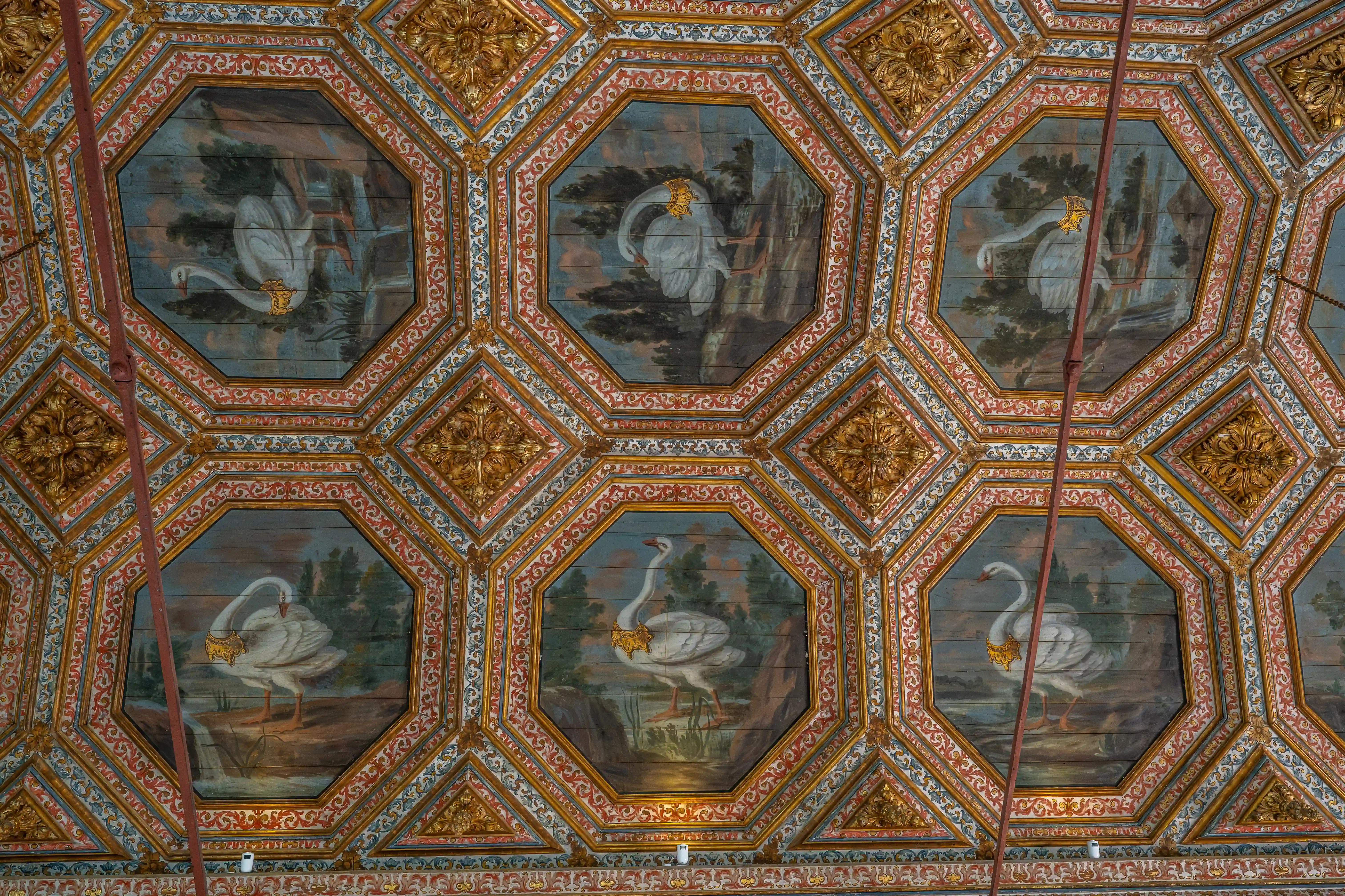 An ornate ceiling composed of repeating octagonal panels, each featuring a painting of a white swan. The panels are surrounded by decorative borders and interspersed with golden floral motifs.