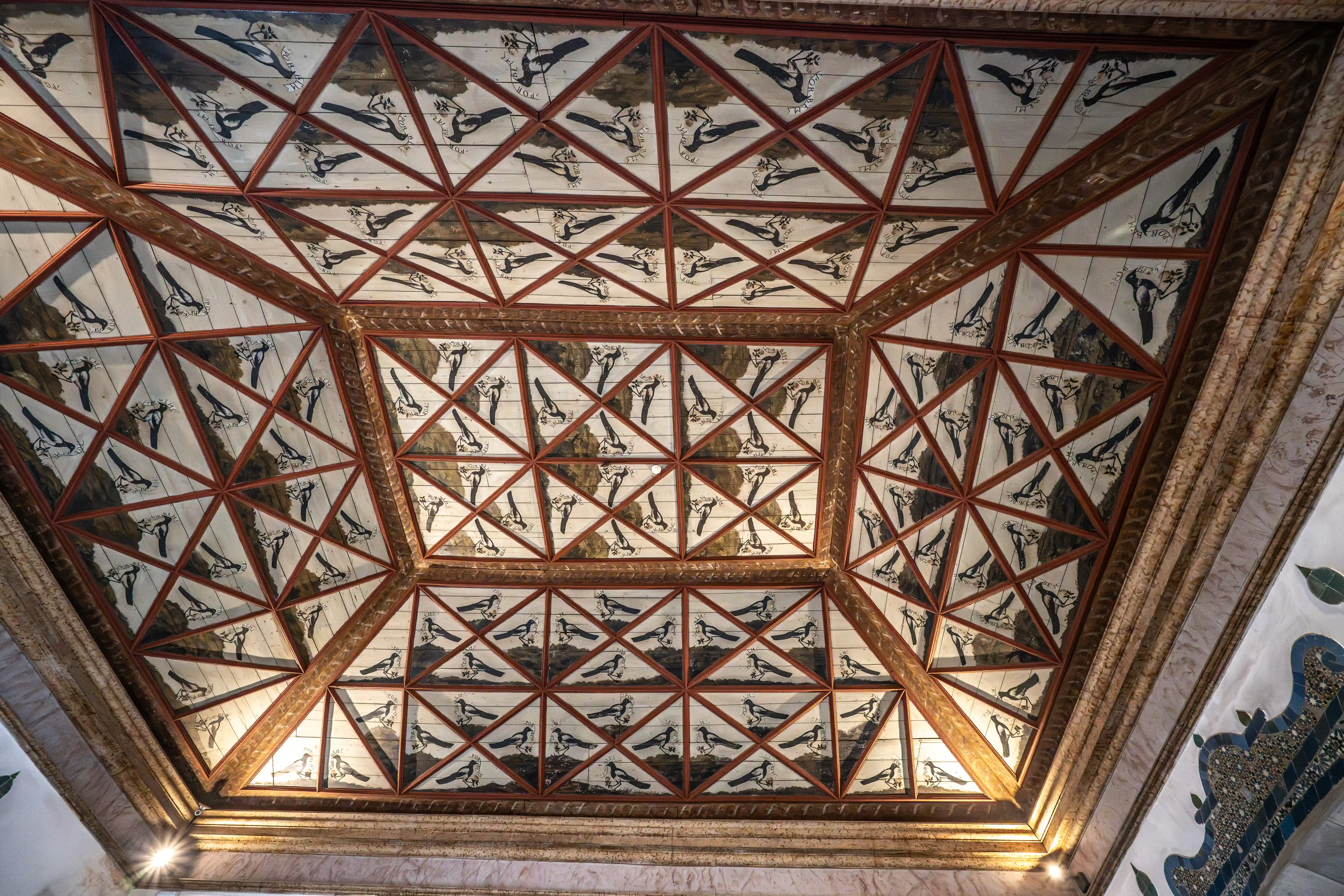 A high-angle view of a historical wooden ceiling adorned with numerous hand-painted depictions of birds within a geometric grid of triangular and square panels, outlined by dark reddish-brown beams.