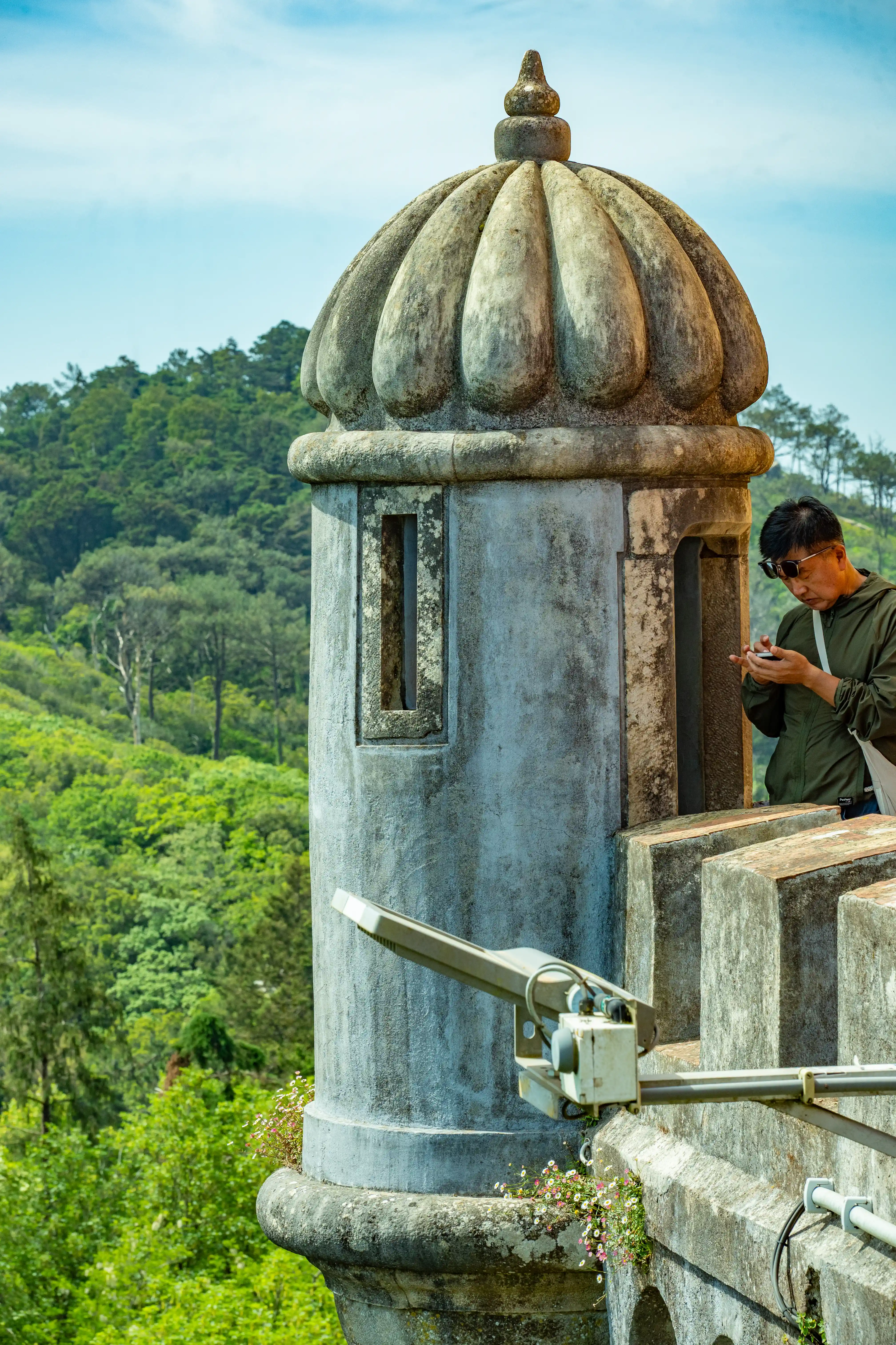 A man in sunglasses and a green jacket stands within a window of an ancient stone turret, looking down at his smartphone. The turret, with its distinctive domed roof, is adorned with weathered stone and has a small window. In the foreground, a metal fixture is attached to the turret's wall. Beyond, a dense, green, hilly landscape stretches under a bright sky, dotted with trees. Small pink and white wildflowers grow at the base of the turret and along the stone wall