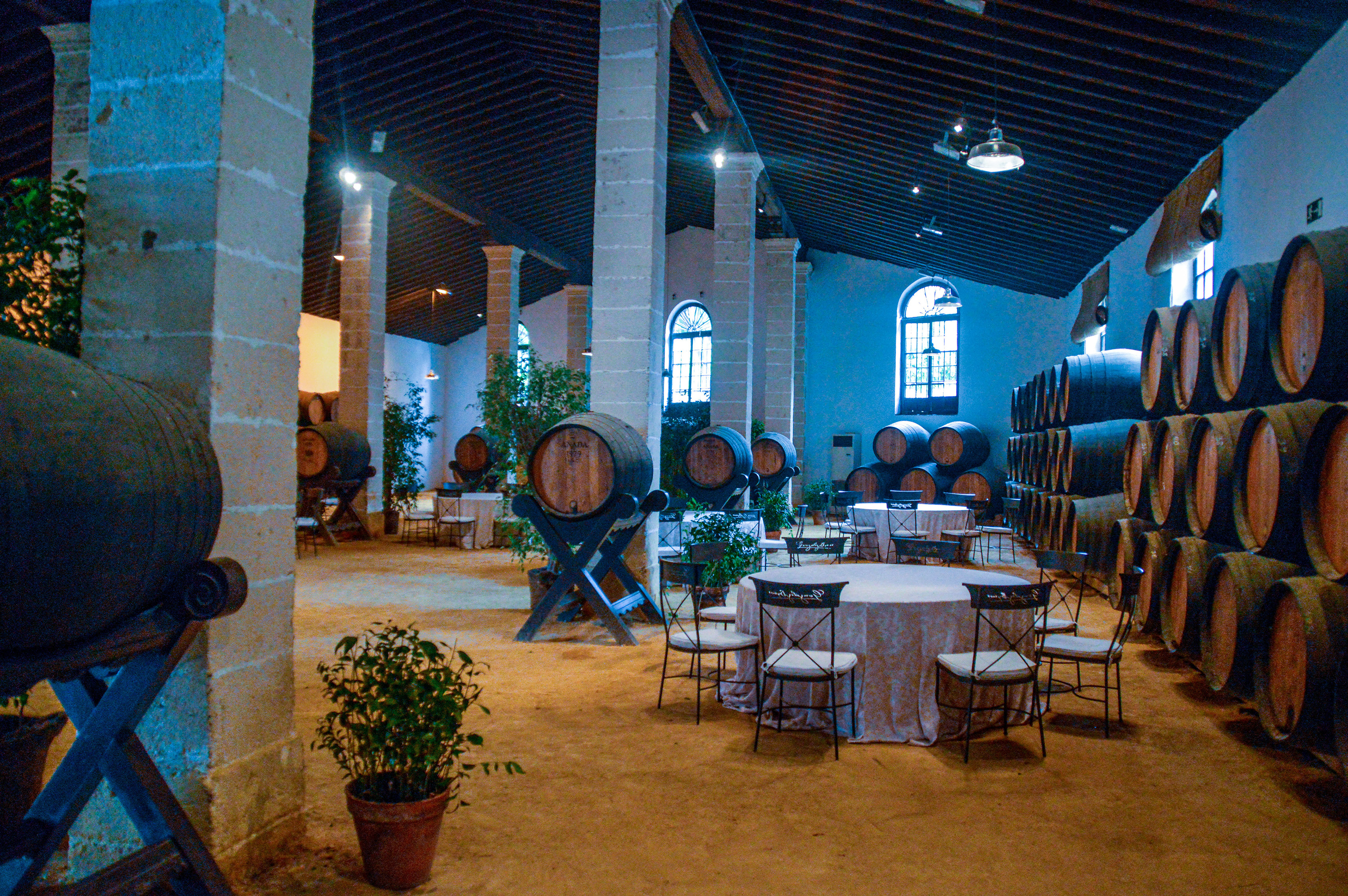 a wine cellar or tasting room