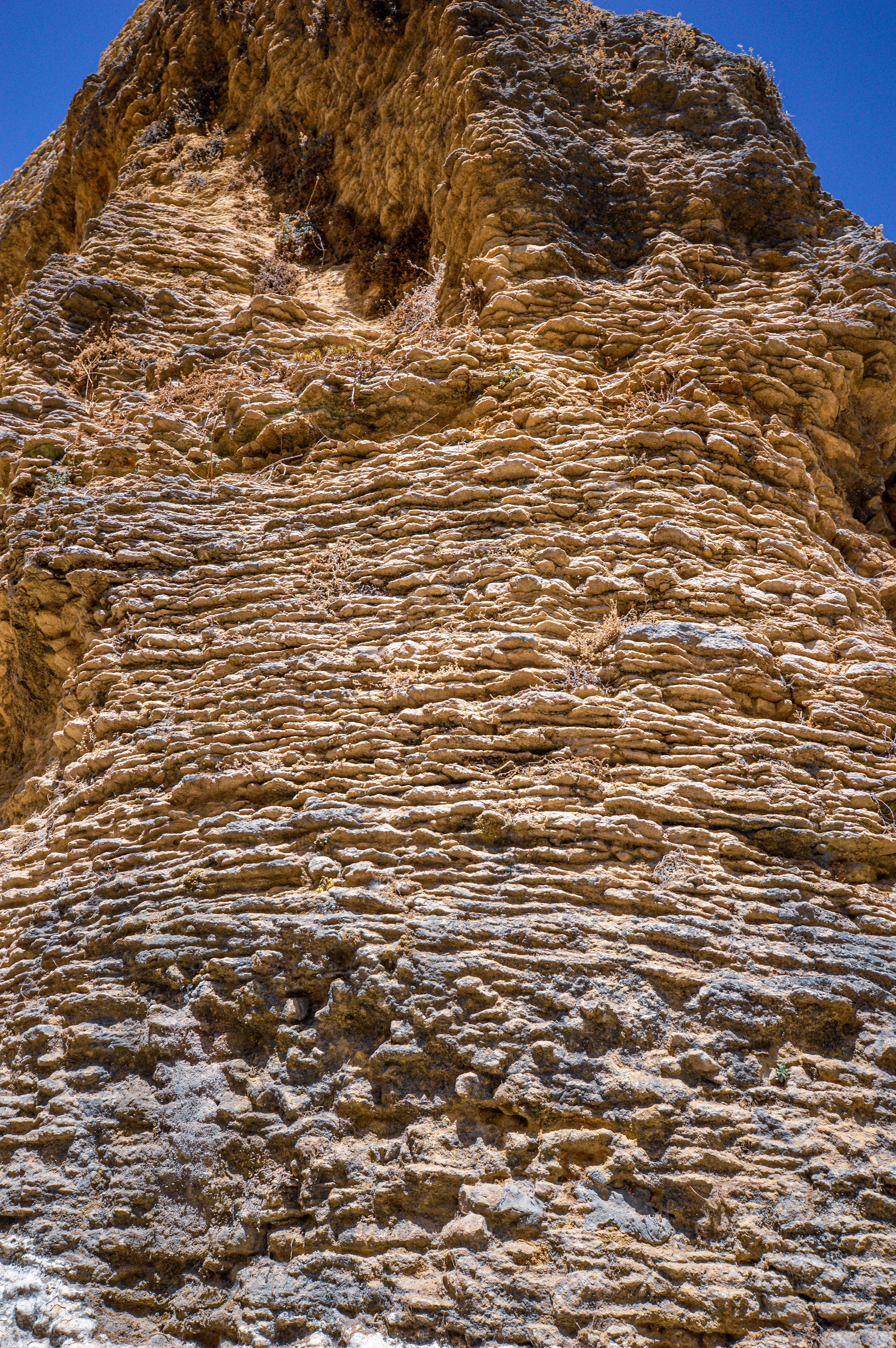 distinct horizontal layers of sedimentary rock