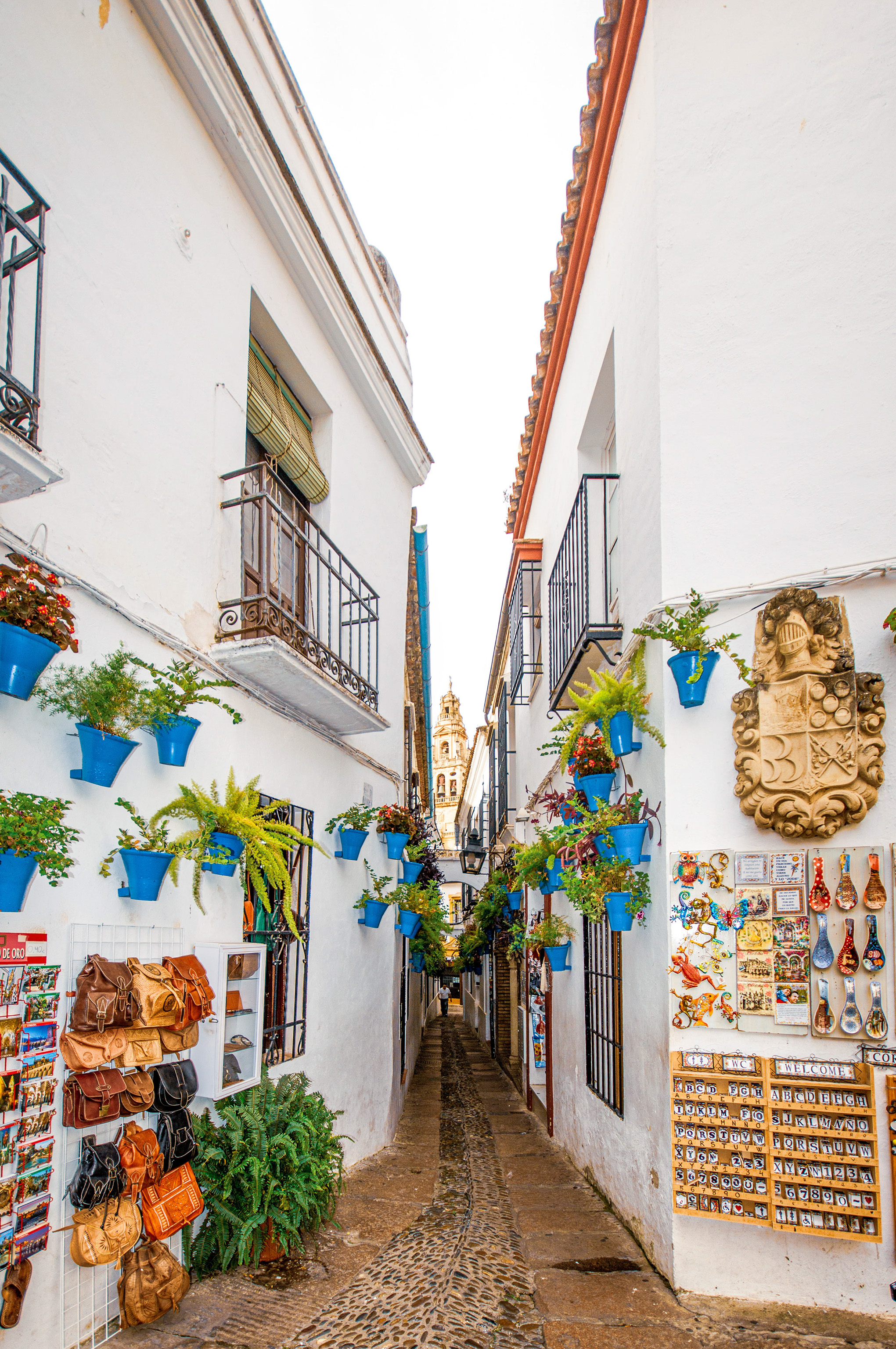 Calleja de las Flores