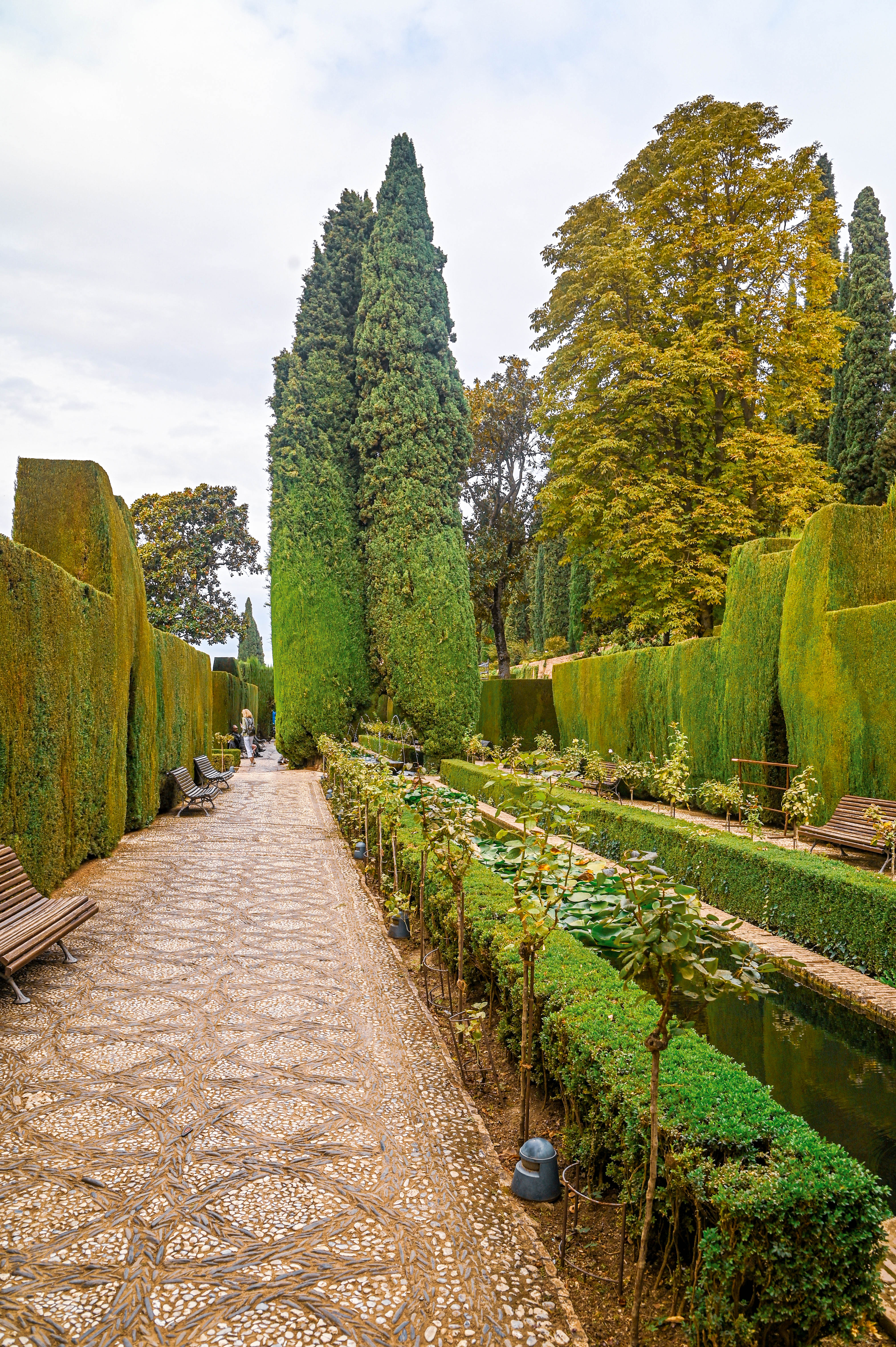 Paseo de los Cipreses