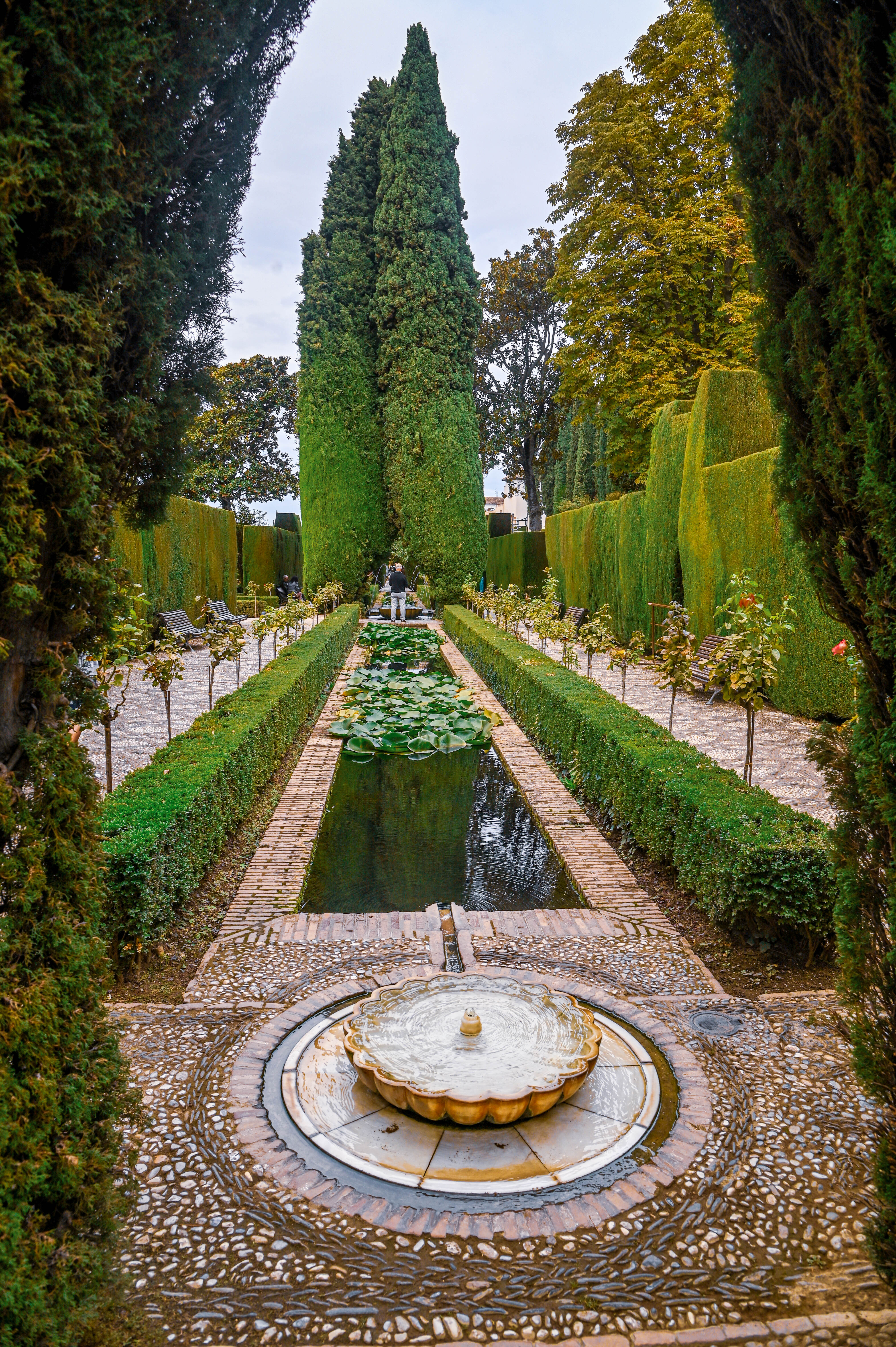 Paseo de los Cipreses