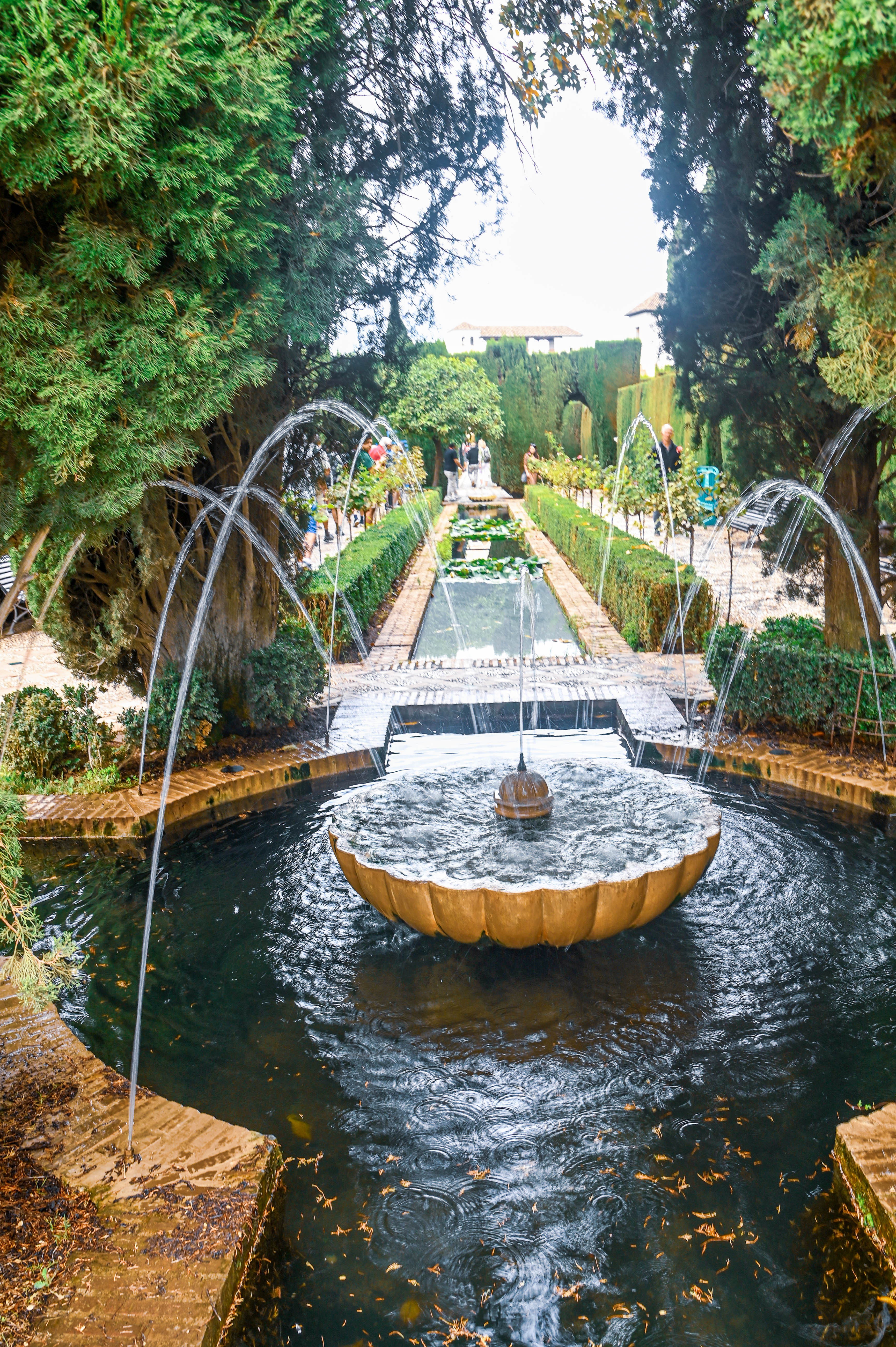 garden scene with a central water feature