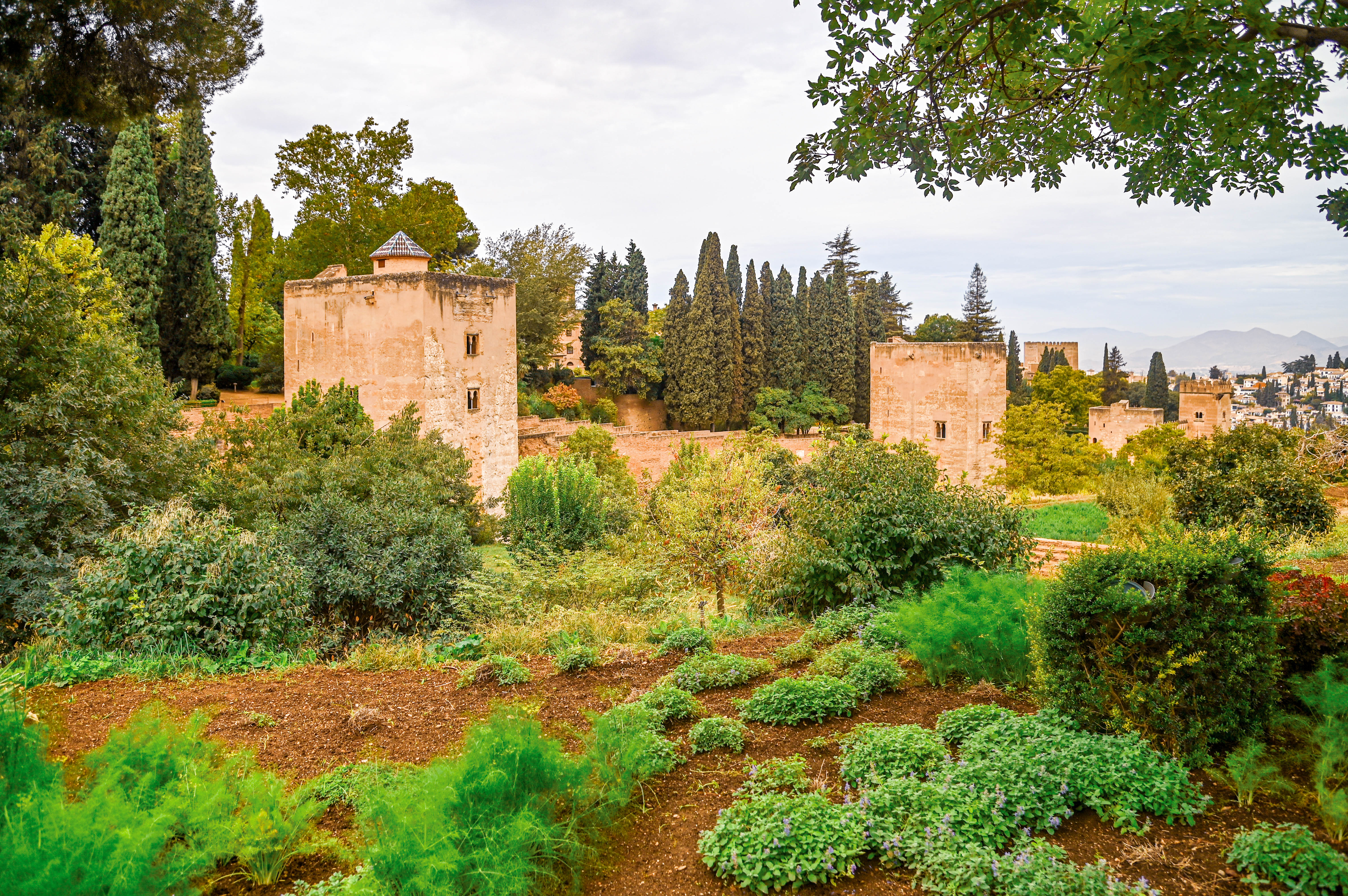 view of the Alhambra