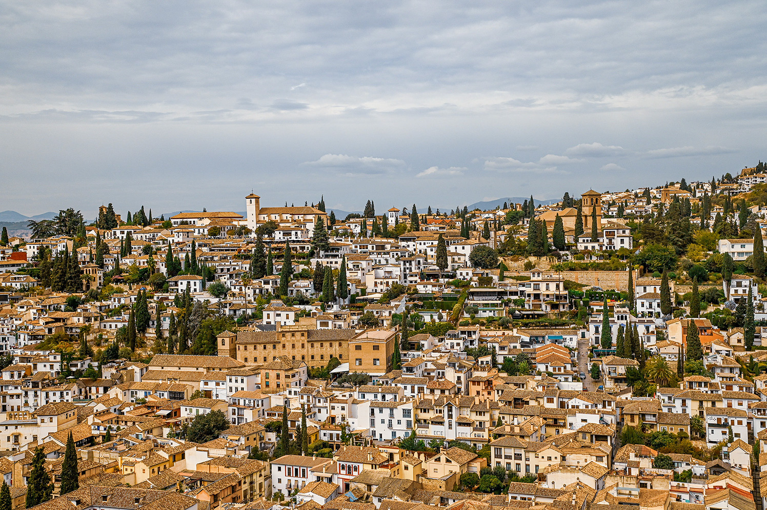 cypress trees are interspersed among the buildings