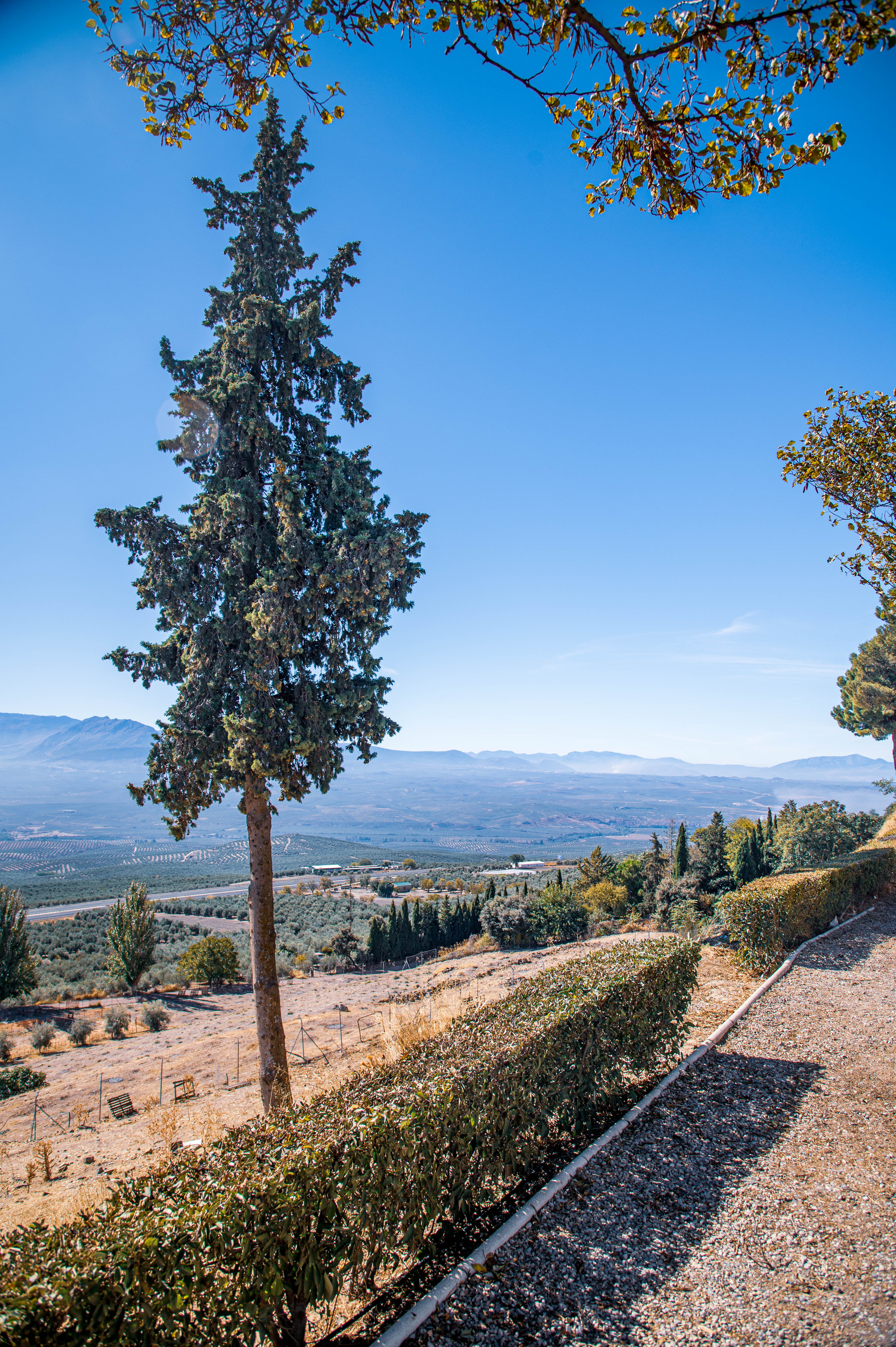 Mirador de las Murallas