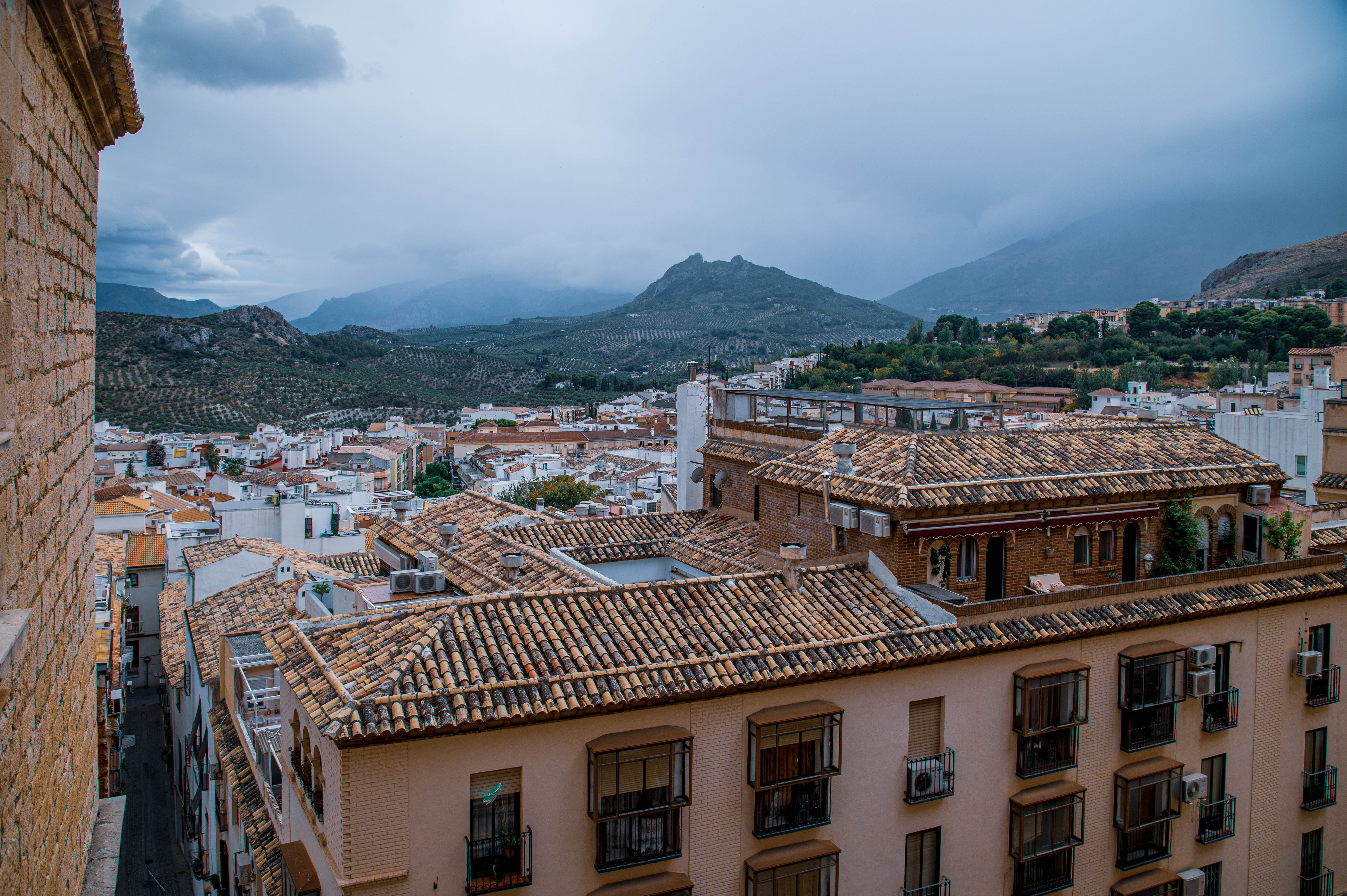 Looking out from a window