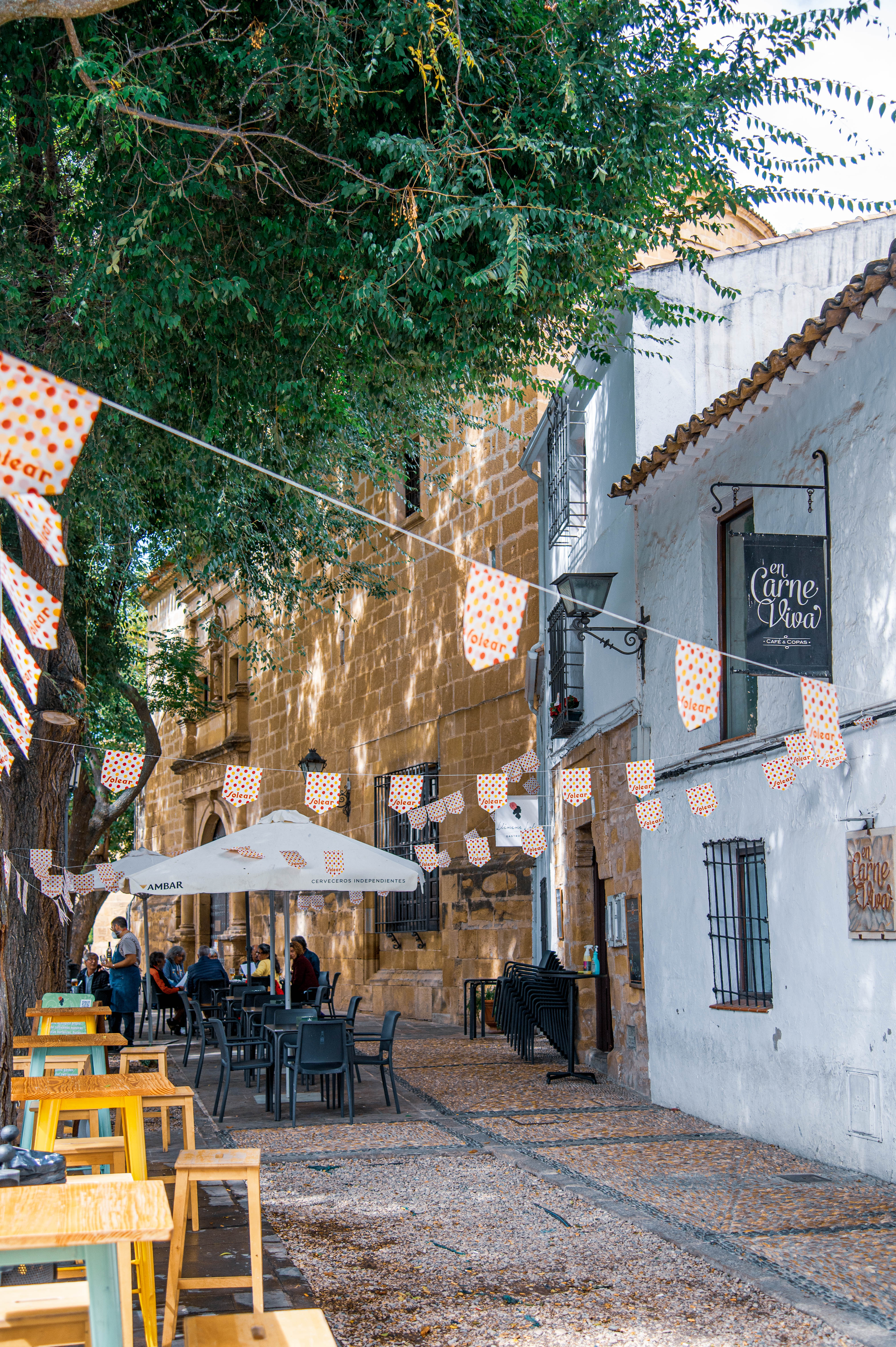 Calle Baja del Salvador