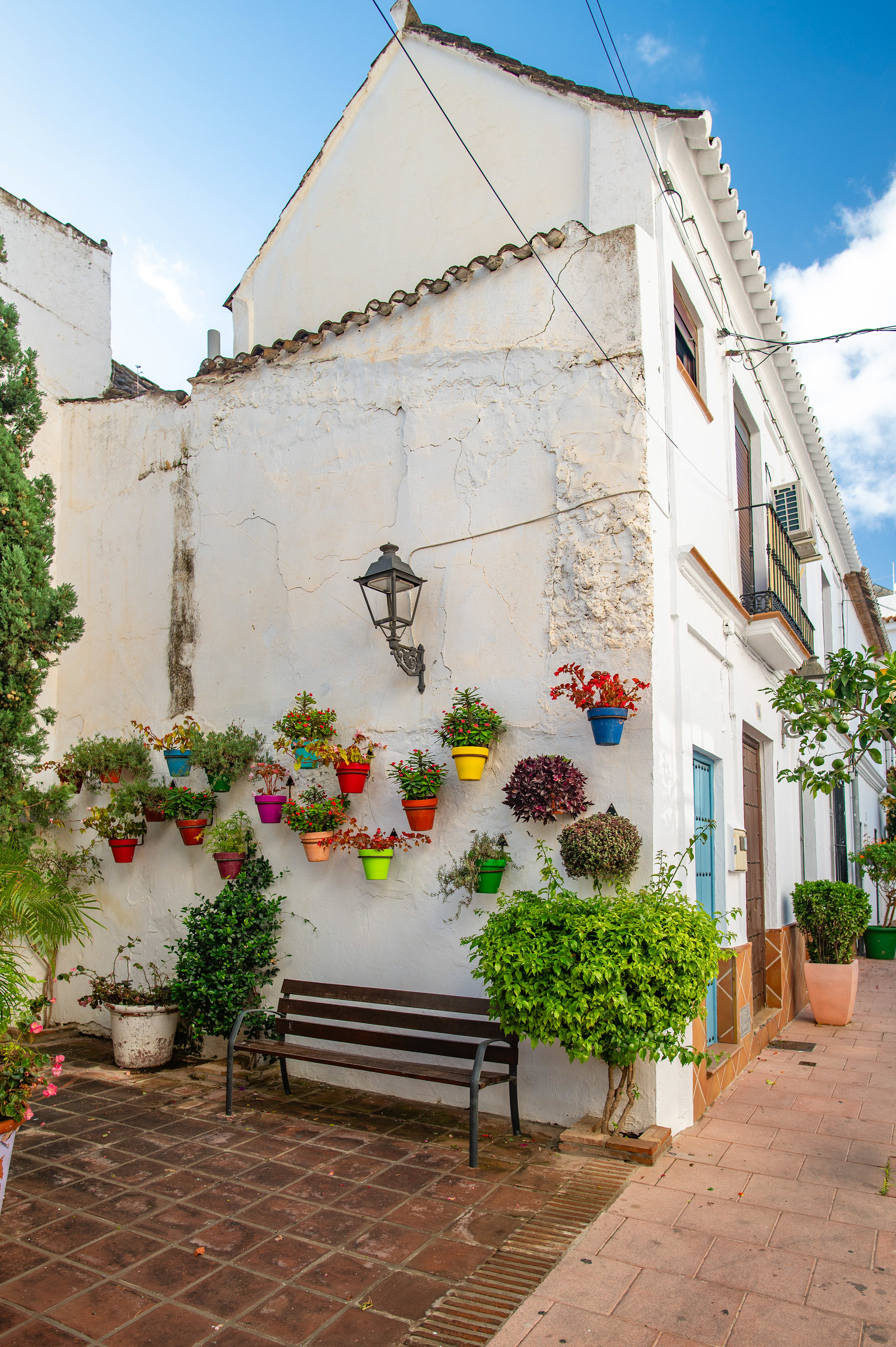 potted plants and flowers