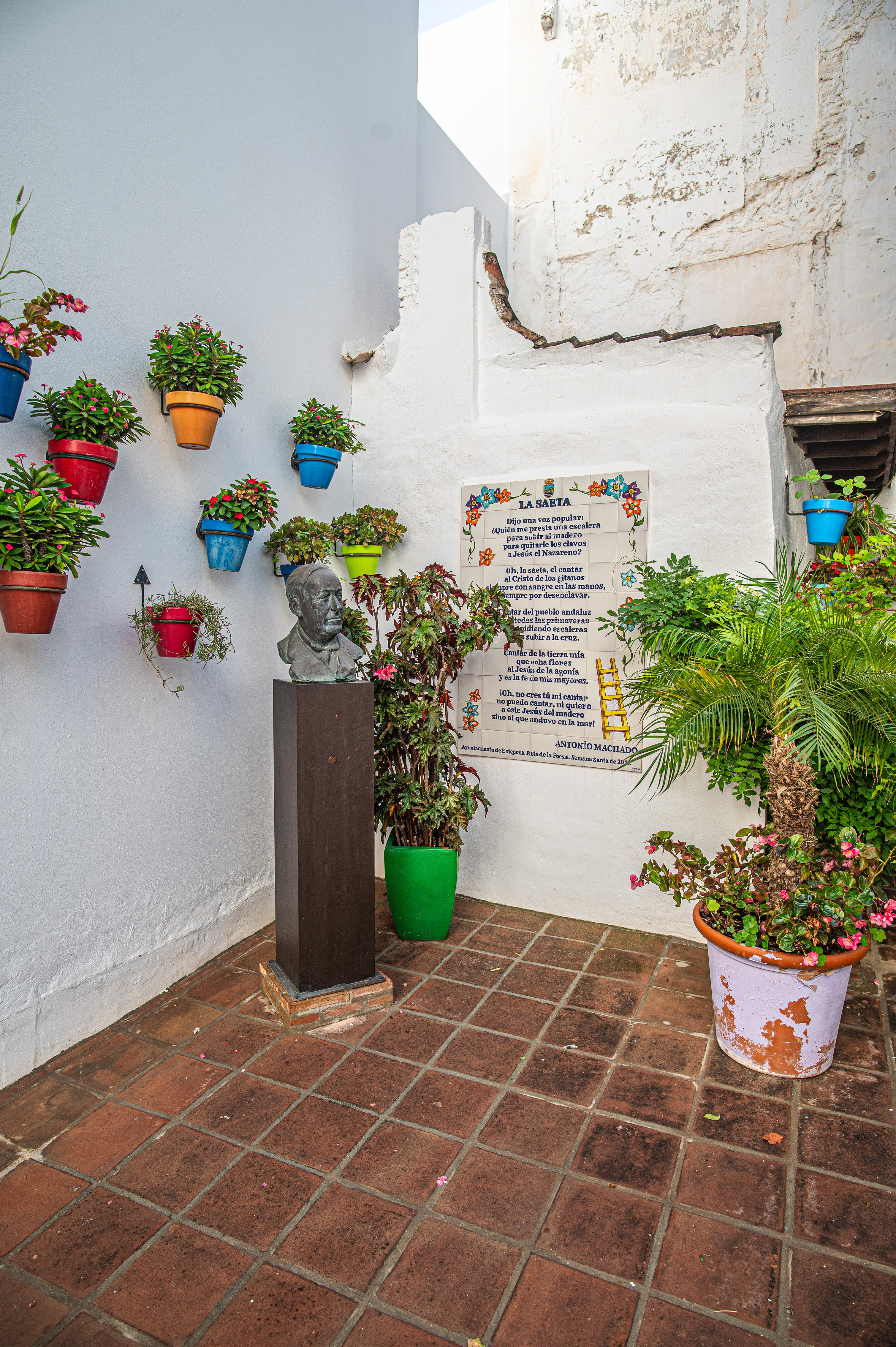 potted plants with flowers hanging on the walls