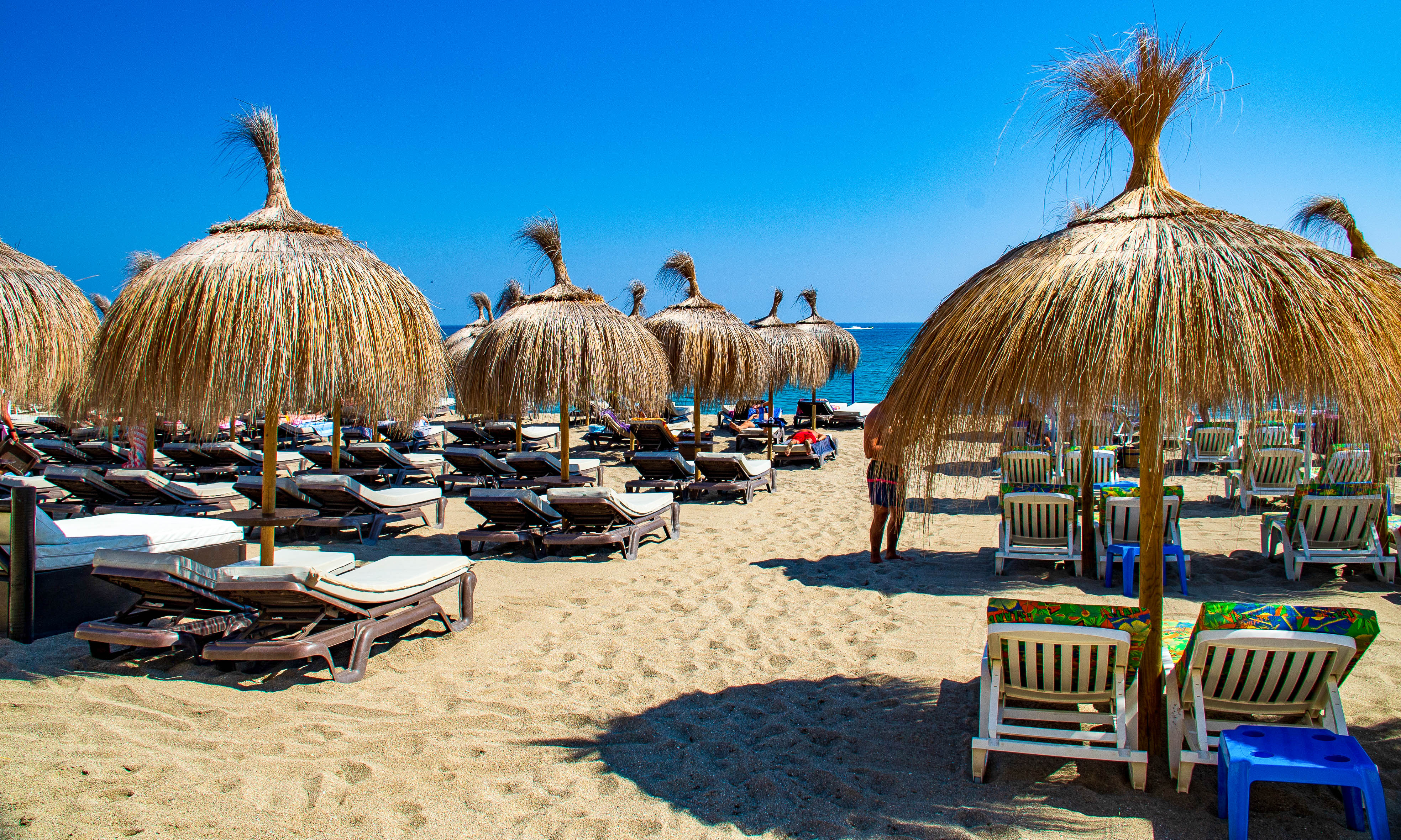 beach scene with numerous straw umbrellas