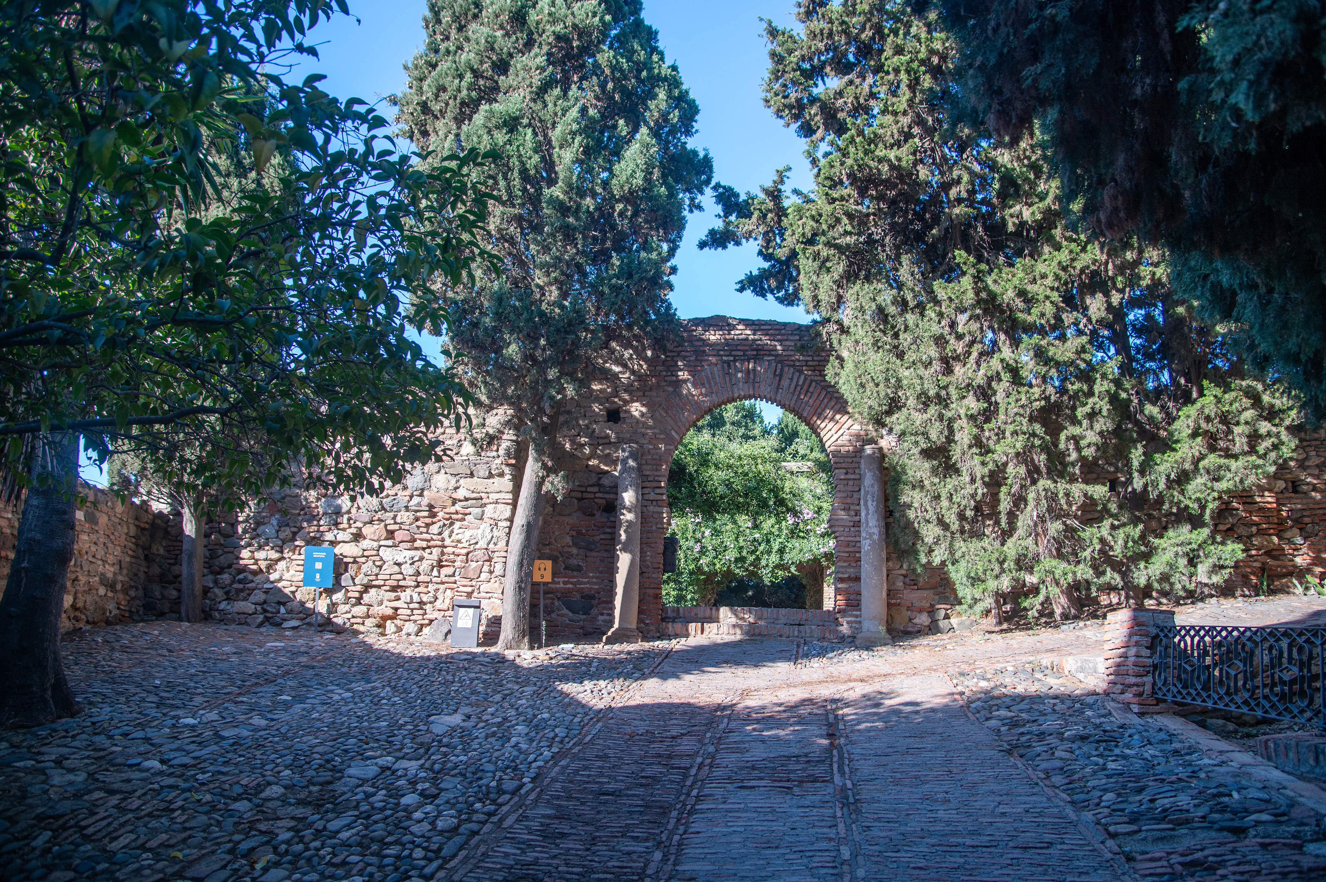 lush greenery and trees